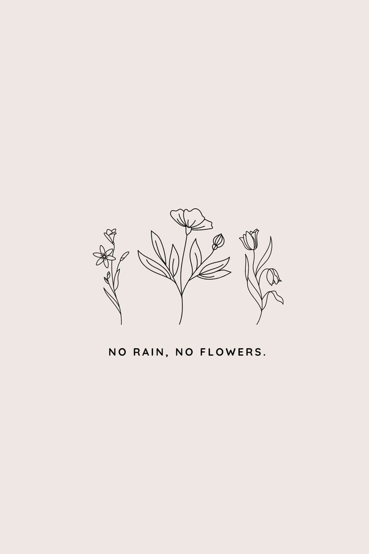 Fiori line art minimal, 736x1104 Full HD Verticale, iPhone