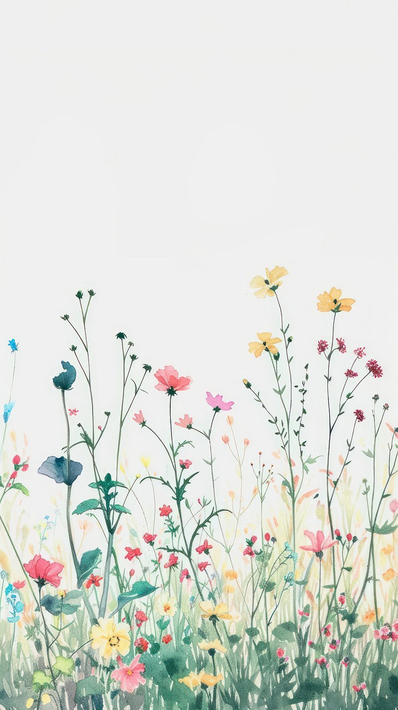 Fiori di campo primaverili, 800x1427 Verticale, Mobile
