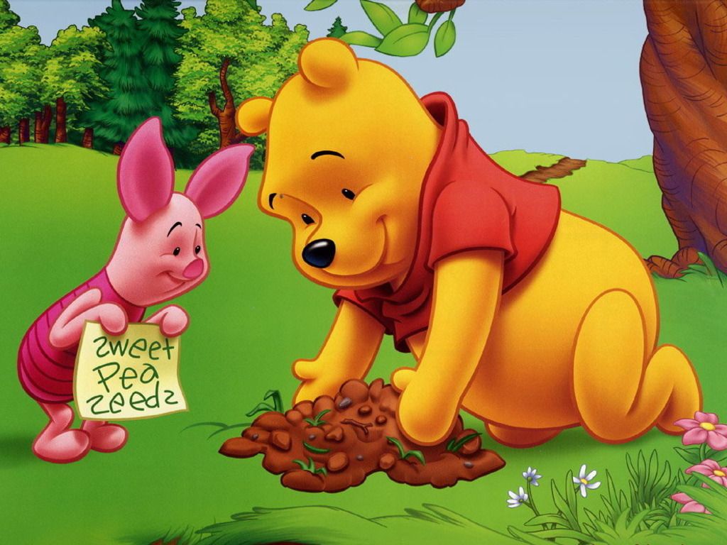 Winnie the Pooh e Pimpi sotto pioggia, 1920x1200 WUXGA, Laptop