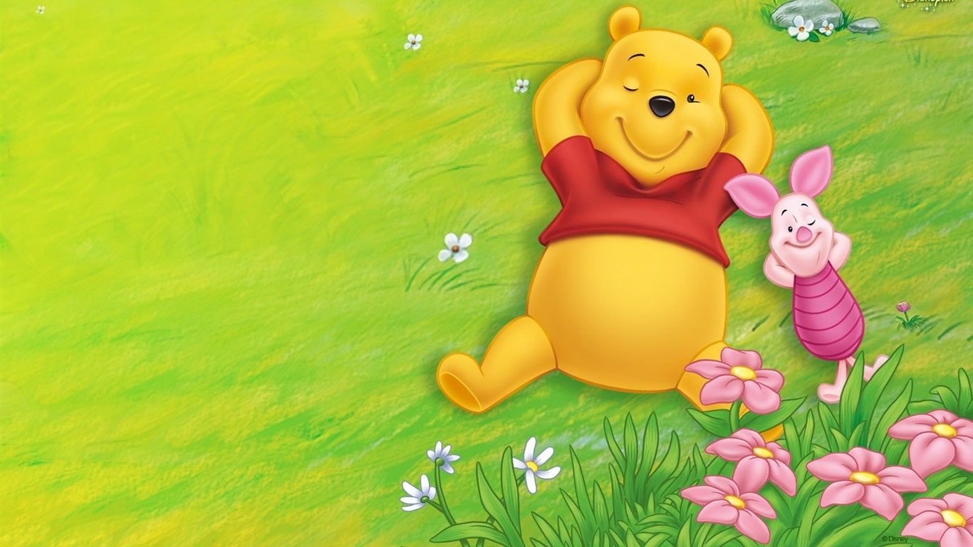 Castello Disney con fiori rosa, 1920x1080 1080p, PC
