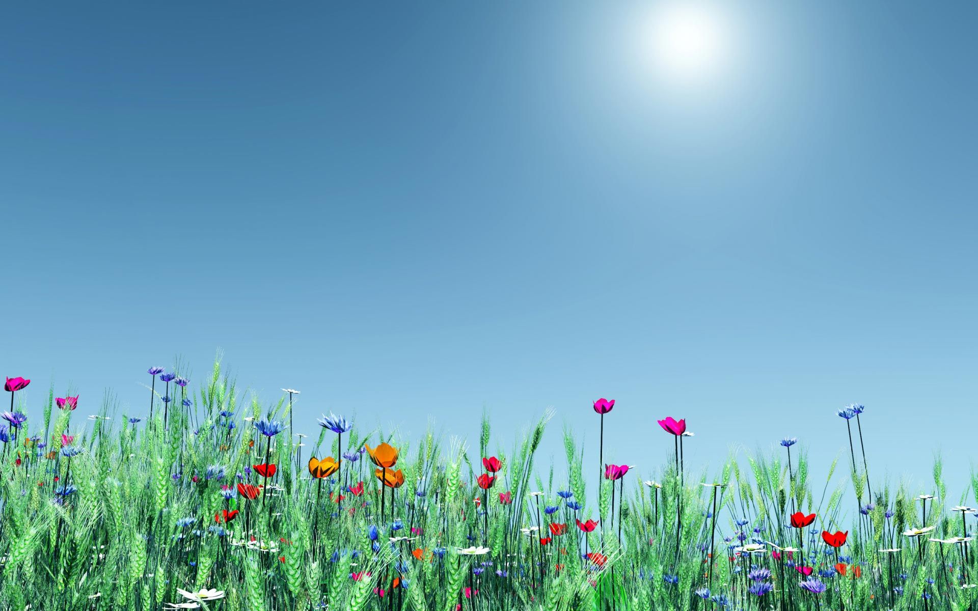 Fiori colorati prato primaverile, 1920x1200 Full HD+, Desktop