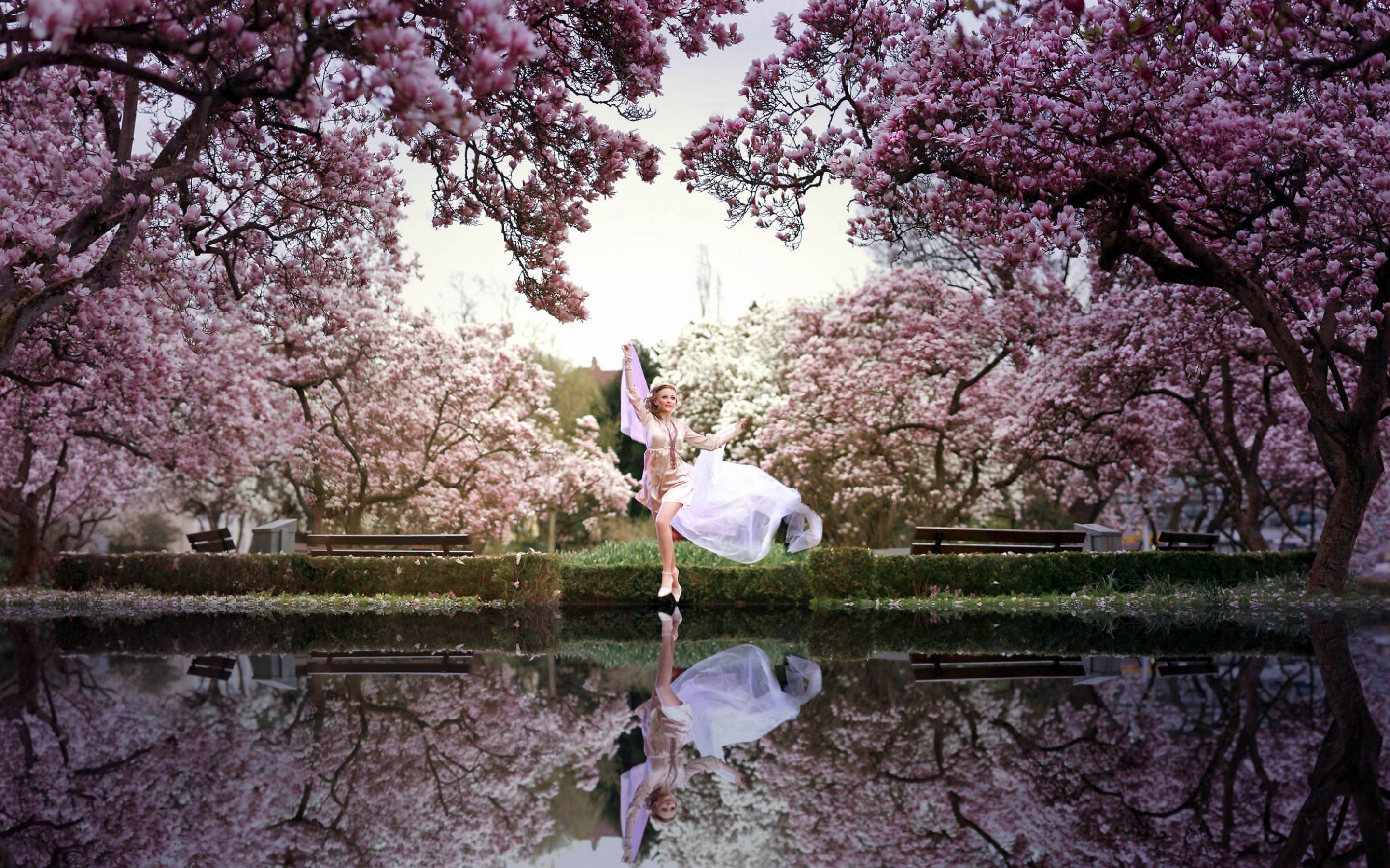 Ballerina tra ciliegi in fiore, 2880x1800 WQXGA, PC Desktop