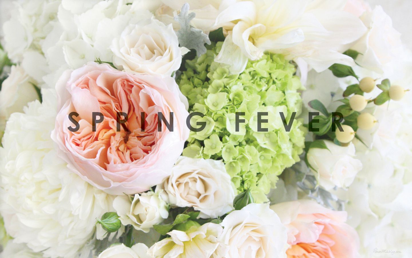 Bouquet fiori rosa bianco, 1440x900 HD, PC Desktop
