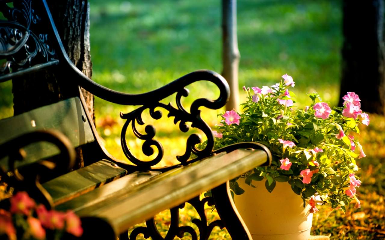 Panchina in giardino con fiori, 1280x800 720p, Monitor Gaming