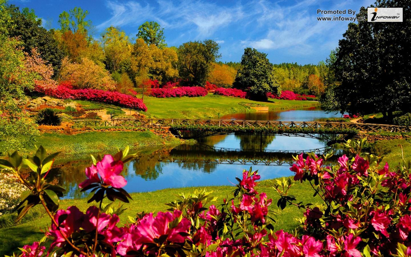 Giardino primaverile con ponte e laghetto, 1440x900 HD, Desktop