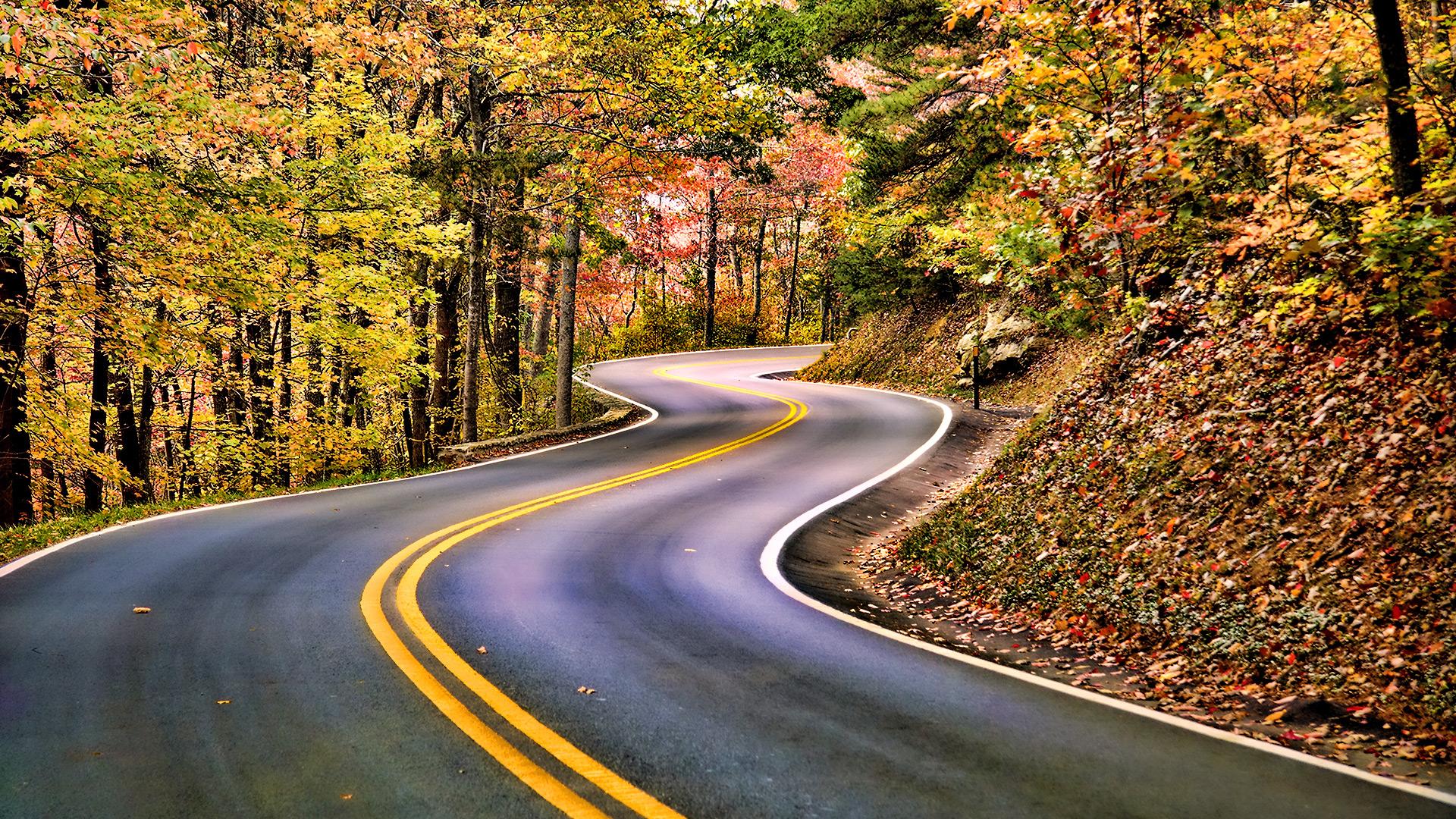 Strada tortuosa autunnale nel bosco, 1920x1080 Full HD, Laptop