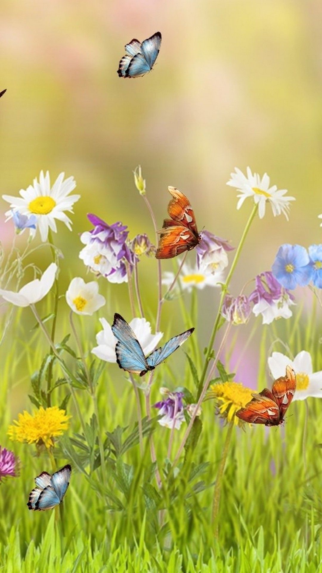 Farfalle e fiori di campo, 1080x1920 Full HD Verticale, iPhone