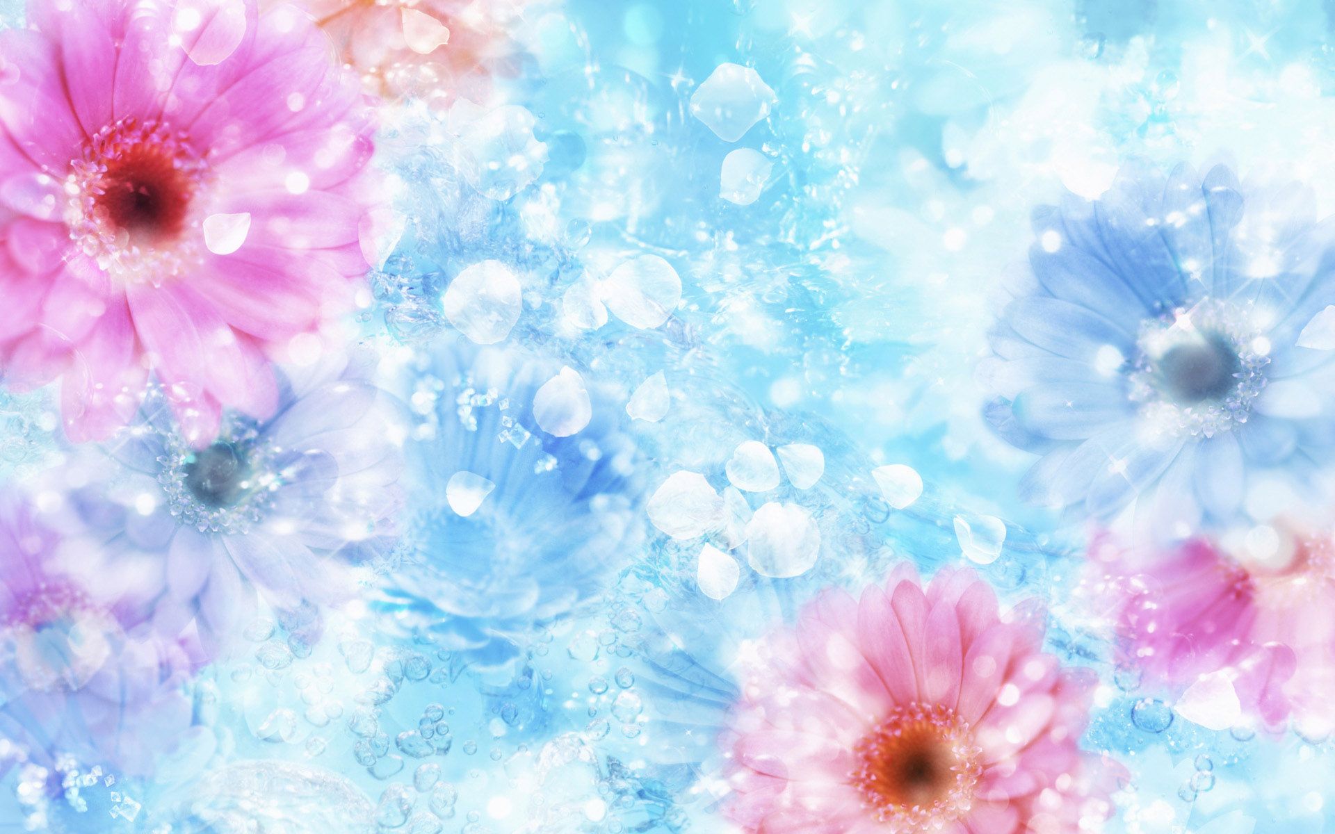 Fiori rosa su sfondo azzurro, 1920x1200 Full HD+, Desktop