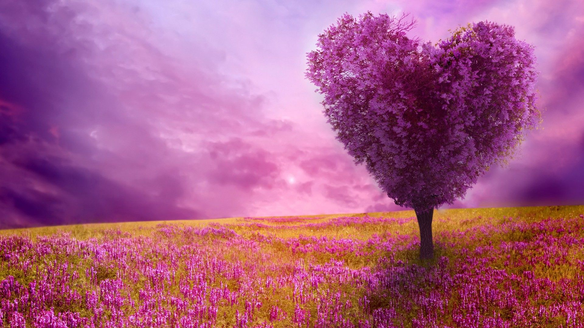 Albero a forma di cuore, 1920x1080 1080p, PC