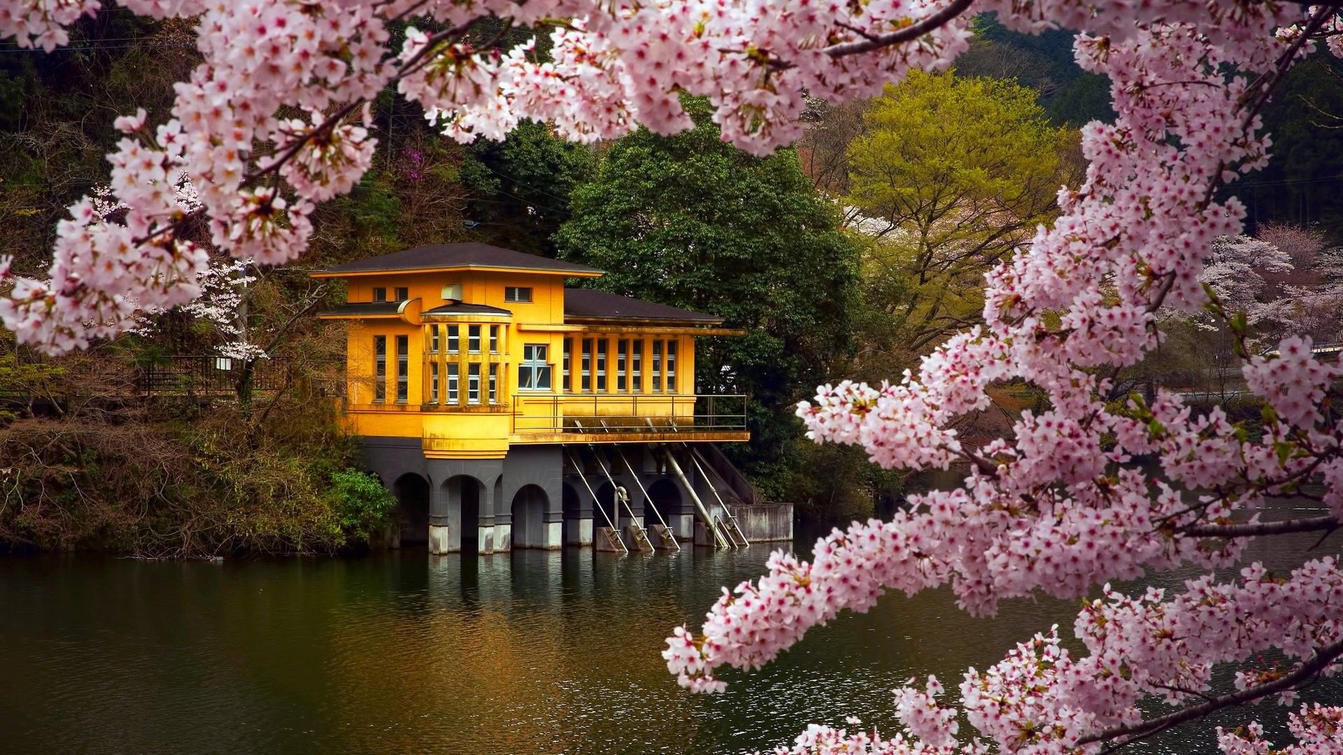 Padiglione giapponese con ciliegi in fiore, 1920x1080 Full HD 1080p, PC