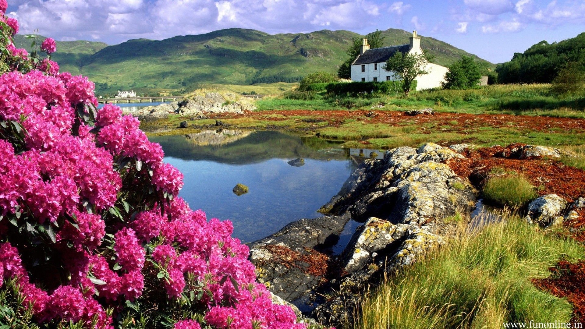 Casa bianca lago fiori rosa, 1920x1080 1080p, Desktop