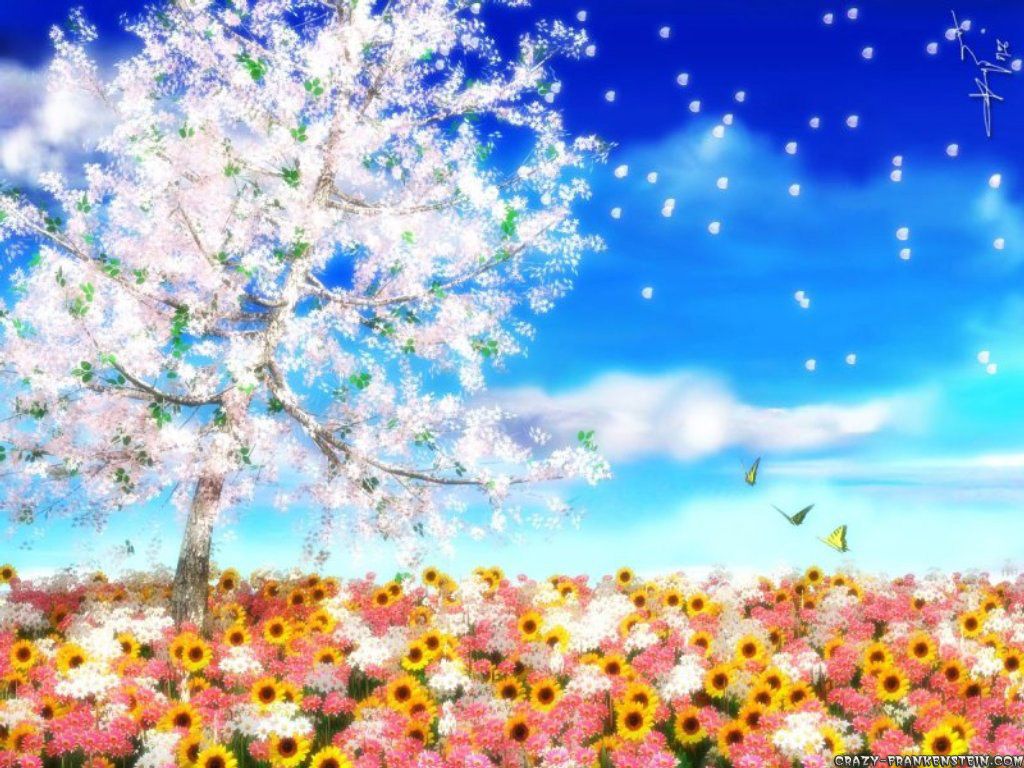 Albero fiorito e campo fiori, 1024x768 HD, Desktop