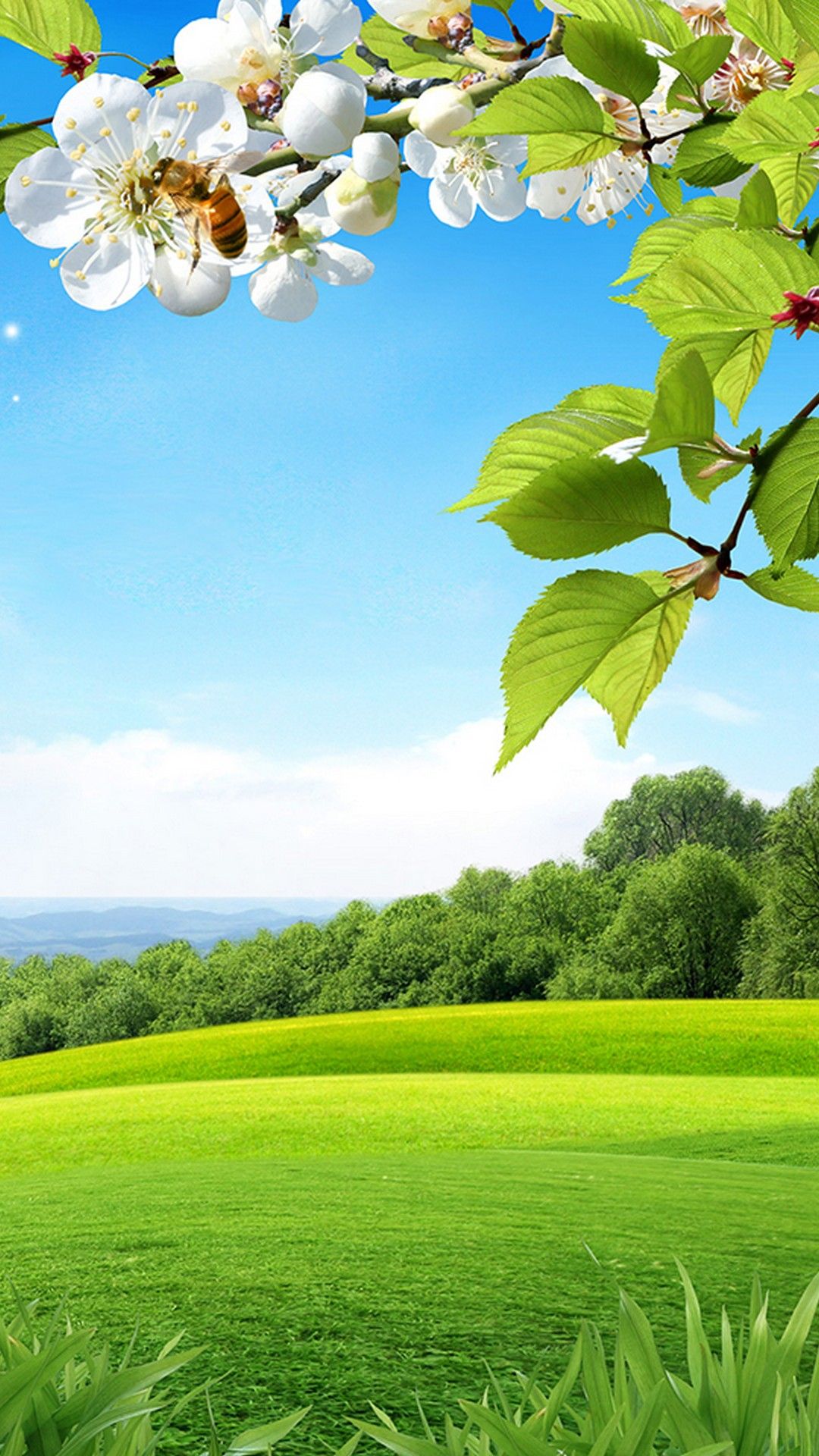 Ramo fiorito, prato verde primaverile, 1080x1920 Full HD Verticale, Smartphone
