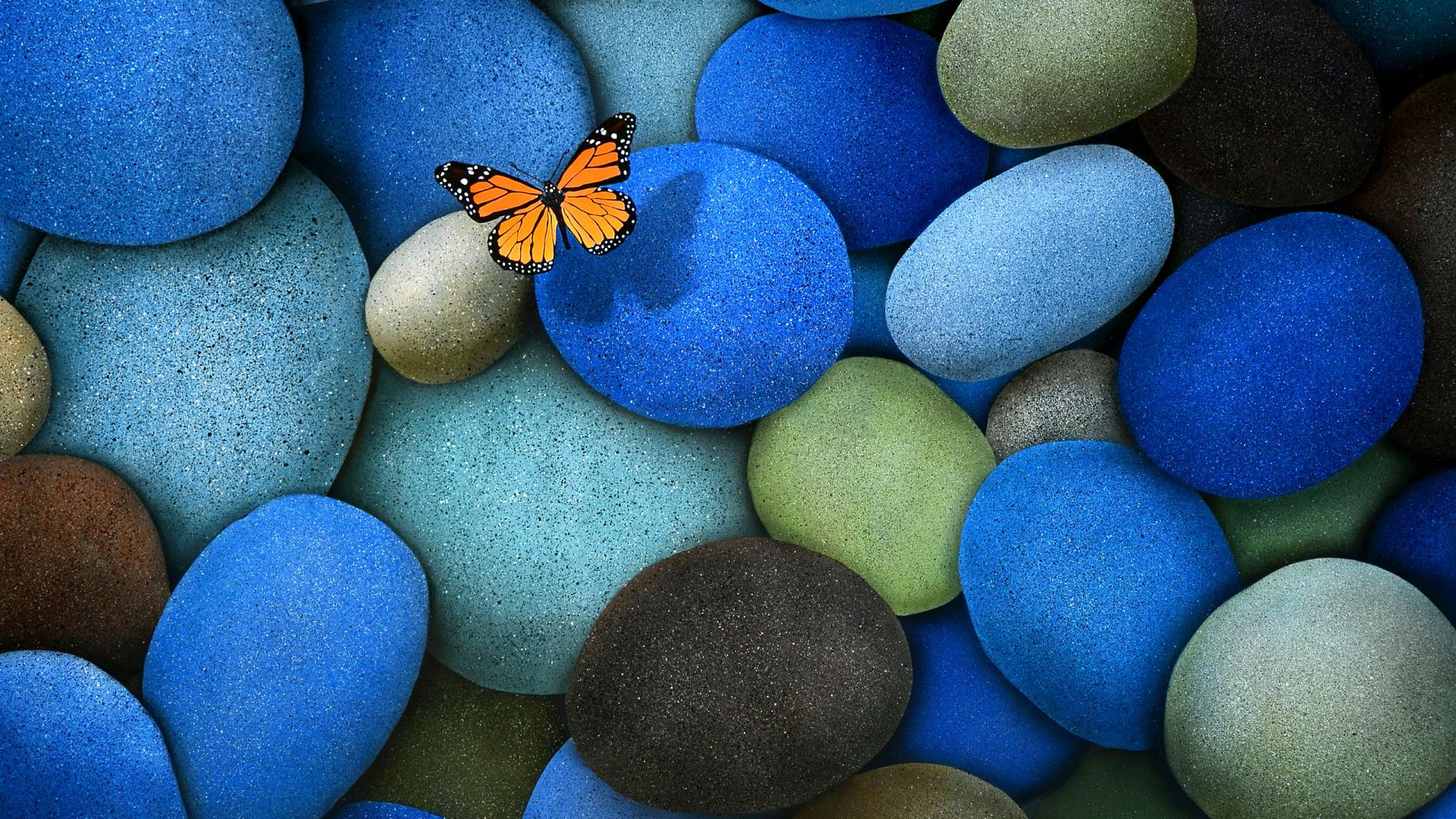 Farfalla arancione su sassi blu, 1920x1080 Full HD 1080p, Desktop