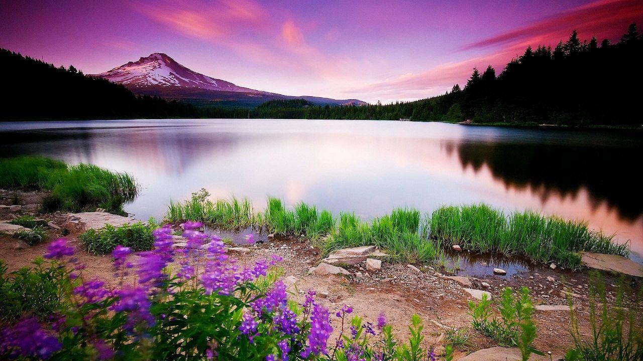 Lago montagna tramonto viola, 1280x720 720p, PC