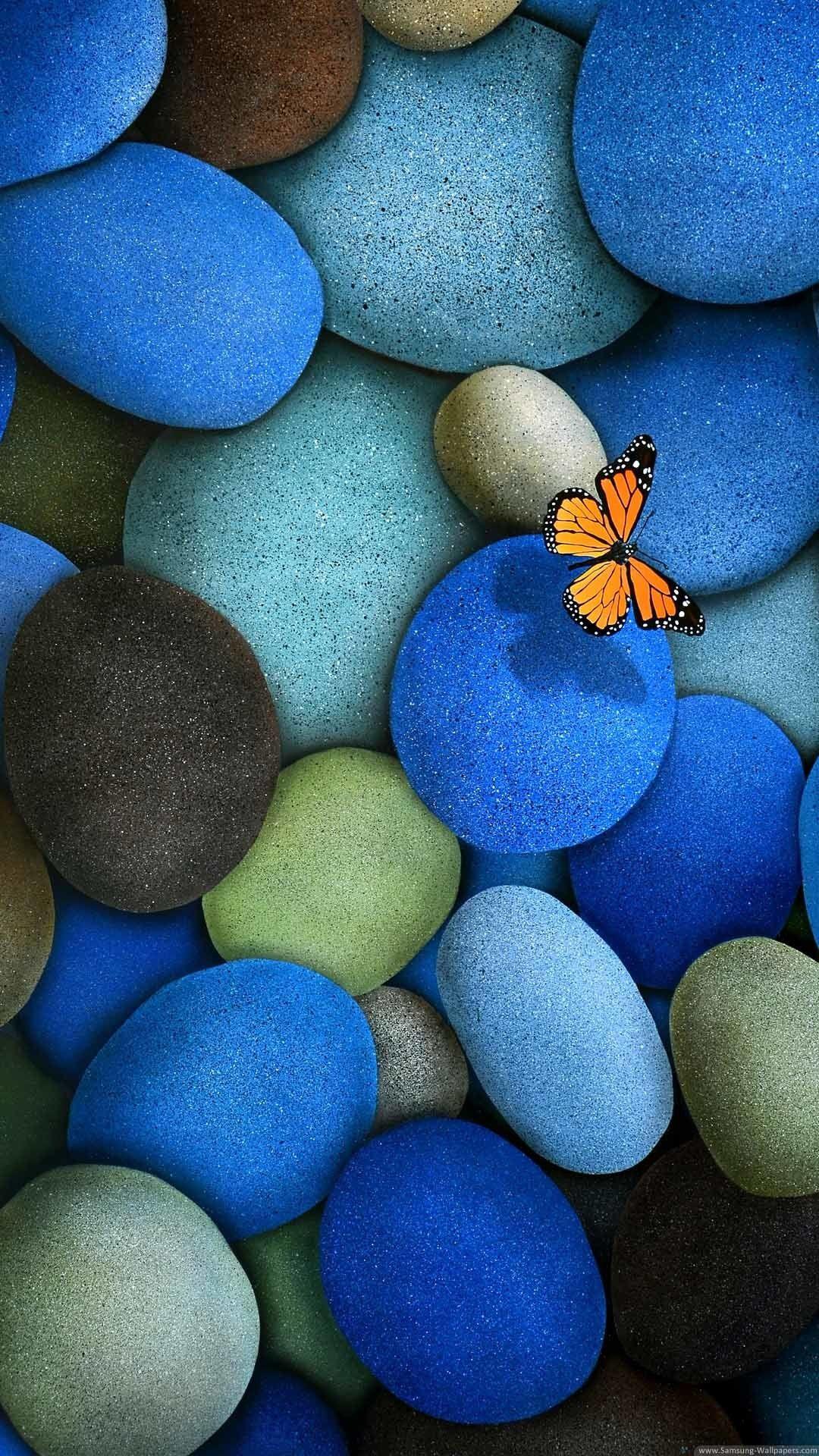 Farfalla arancione su pietre blu, 1080x1920 Verticale, Mobile