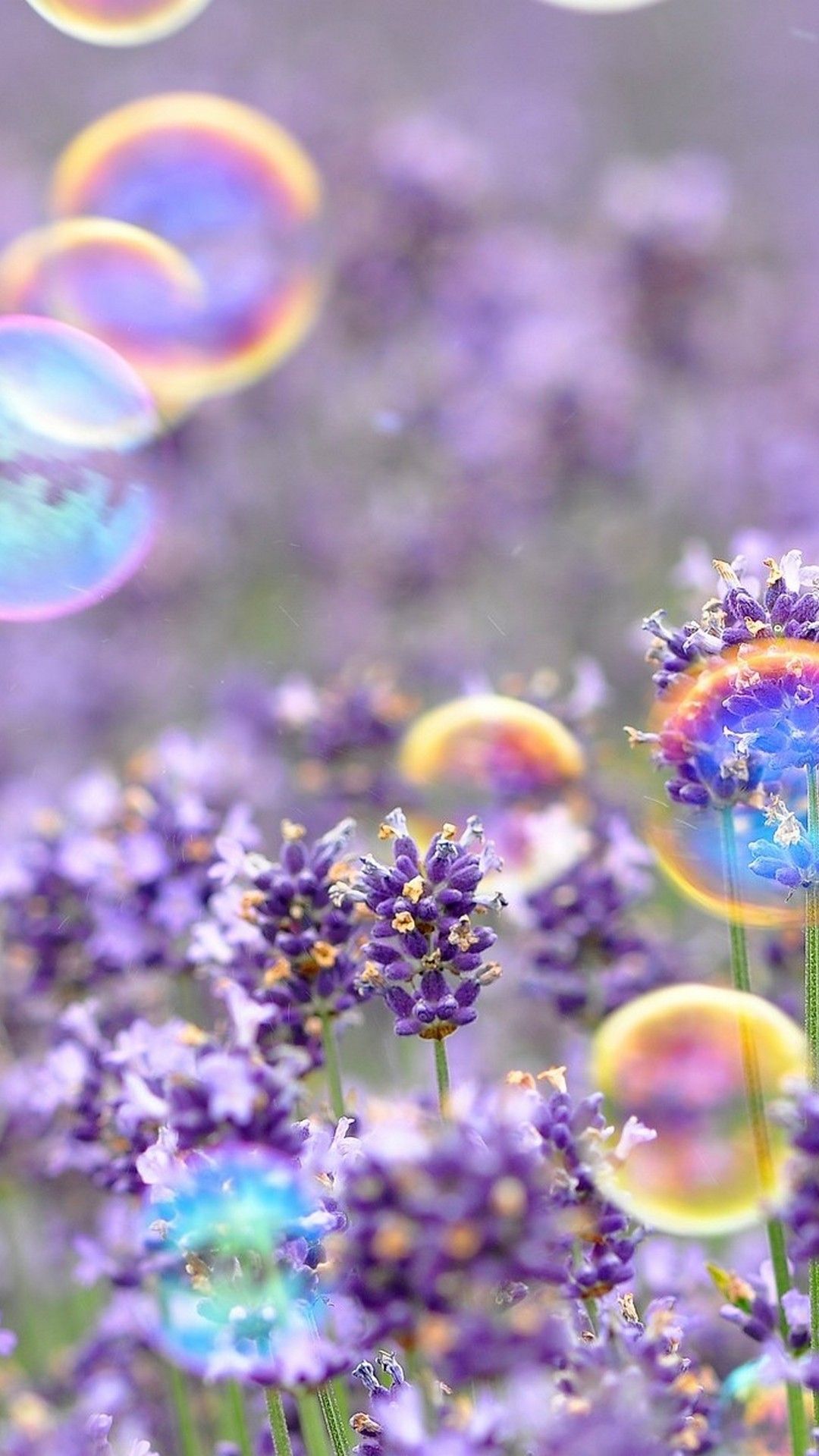 Lavanda viola con bolle di sapone, 1080x1920 Full HD Verticale, Smartphone