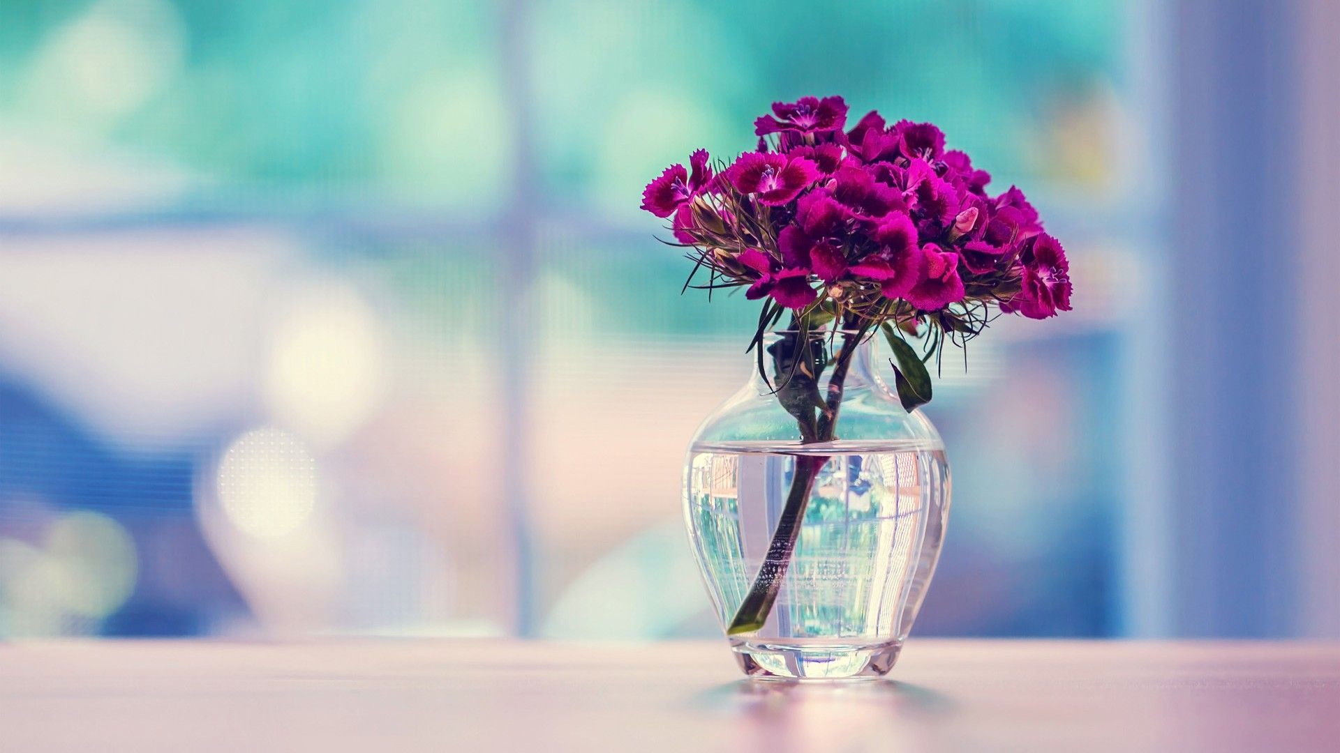 Fiori viola in vaso vetro, 1920x1080 Full HD, Desktop