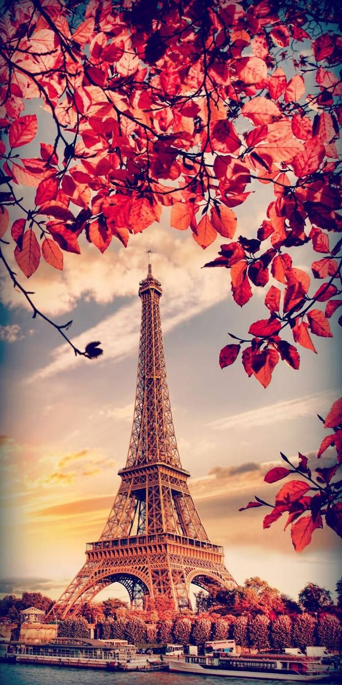Torre Eiffel foglie autunnali, monumento, 700x1400 Full HD Verticale, iPhone