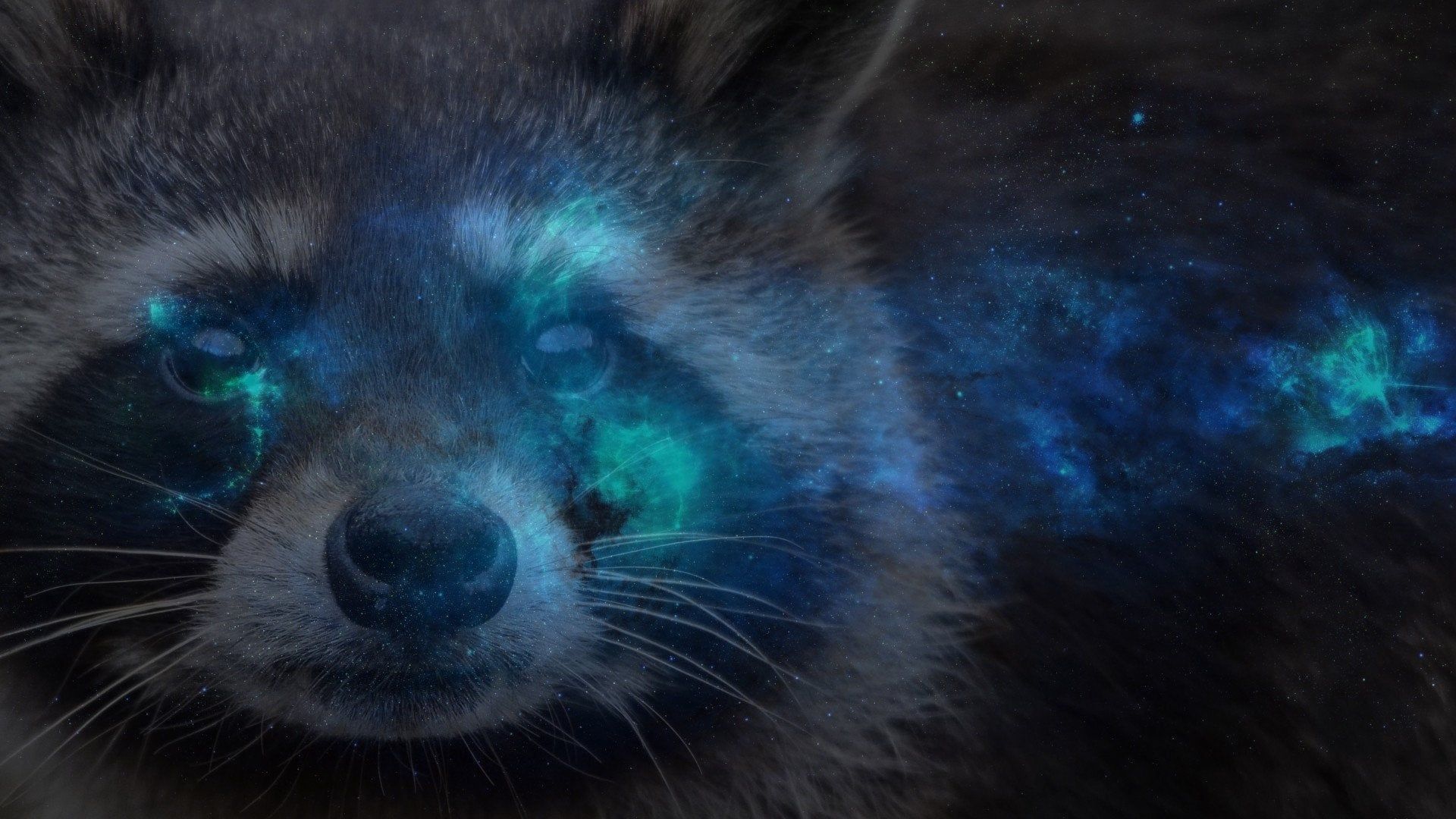 Procione con occhi cosmici blu, 1920x1080 1080p, Desktop
