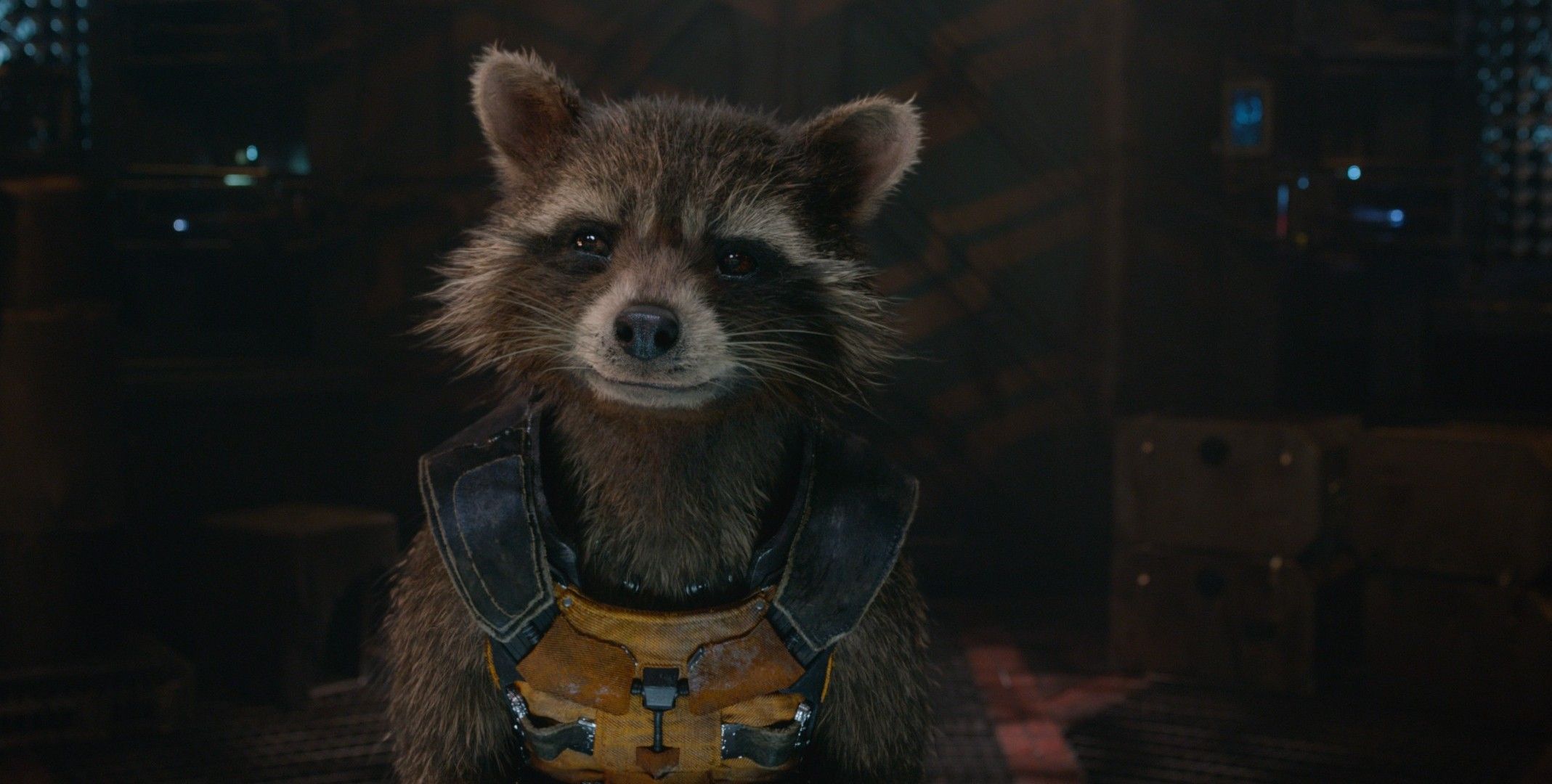 Rocket Raccoon Guardiani Galassia, 2137x1080 alta risoluzione, Desktop