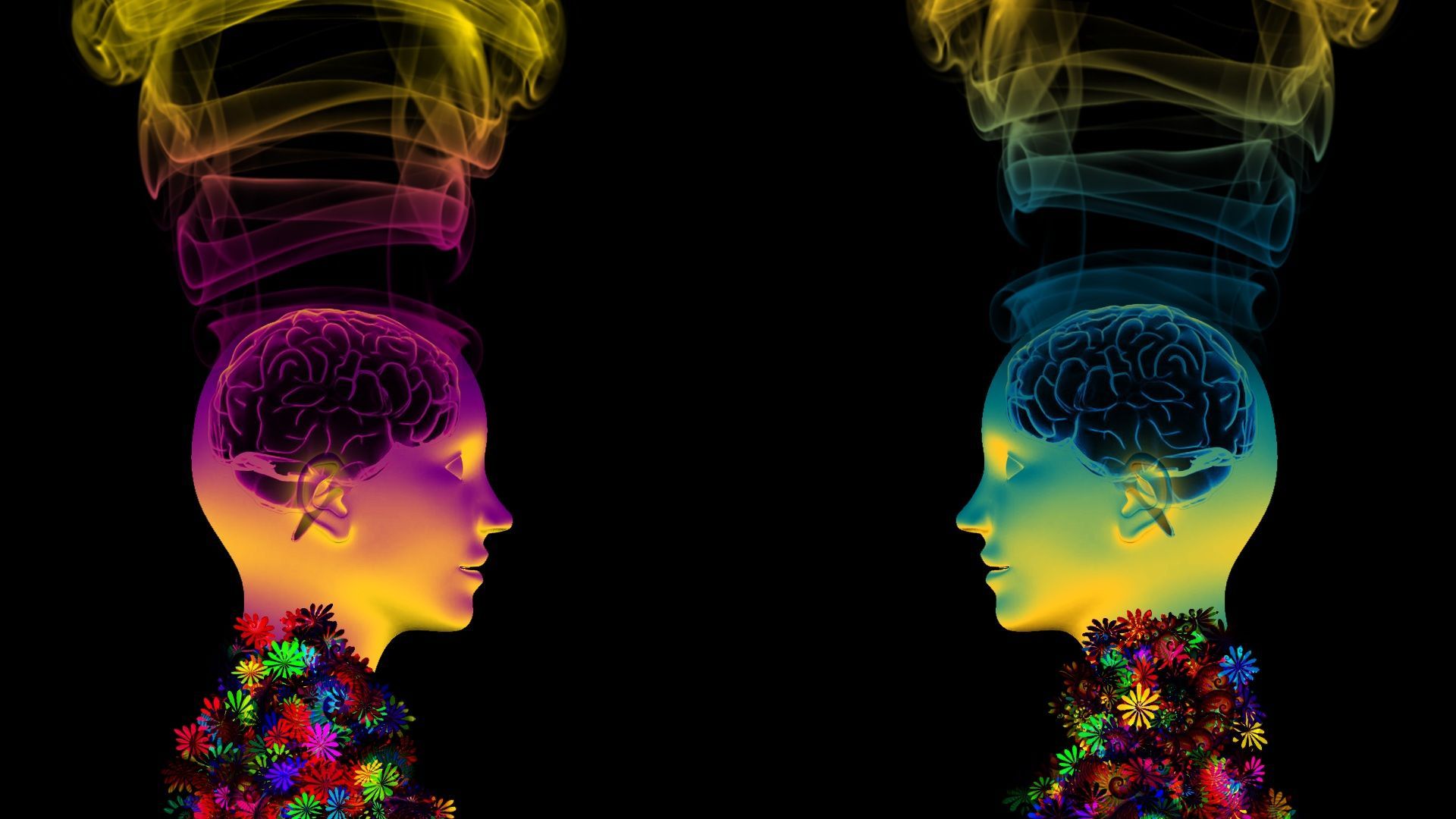 Teste colorate con cervelli visibili, 1920x1080 Full HD, Desktop