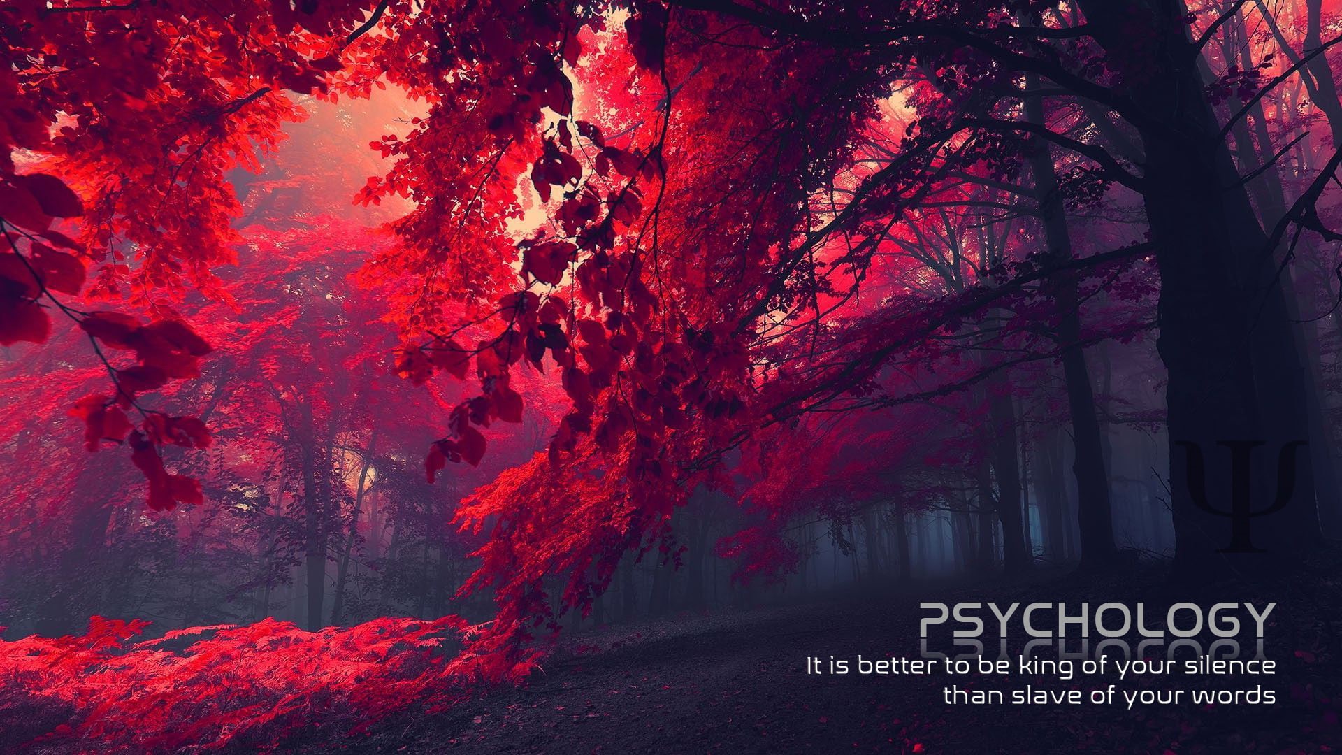 Foresta rossa autunnale scura, 1920x1080 Full HD 1080p, Desktop