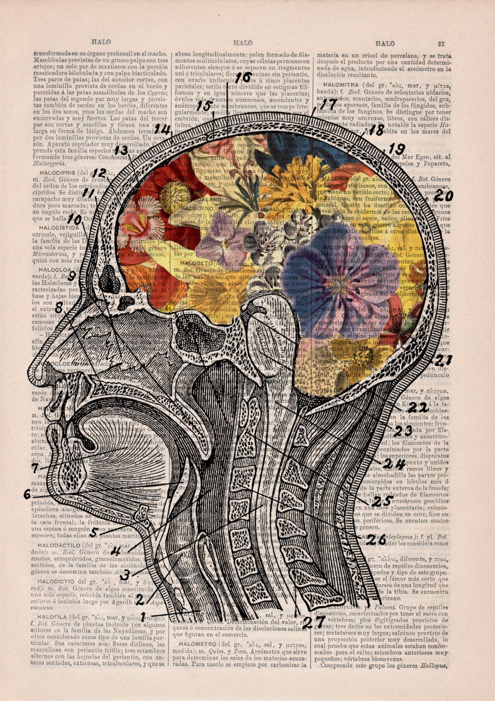 Cervello anatomico con fiori colorati, 1000x1415 Verticale, Mobile