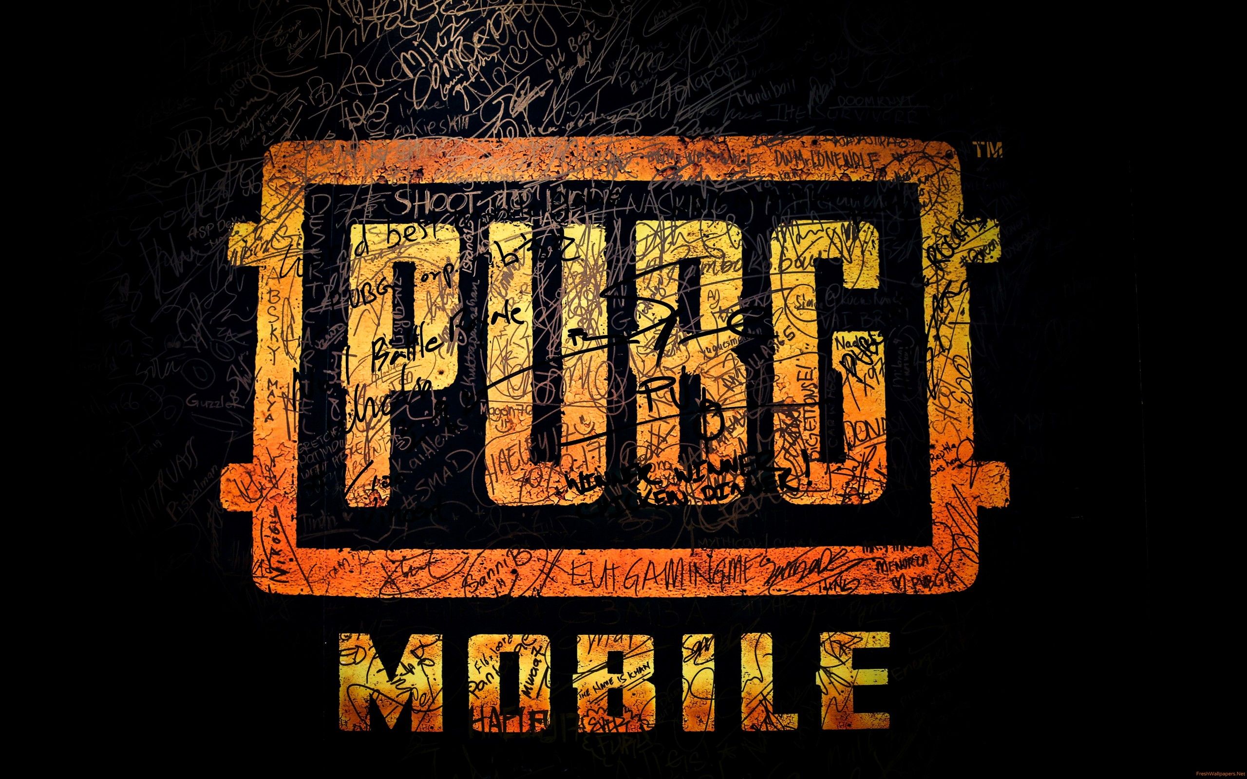 Personaggio PUBG con fucile, 1024x768 HD, Desktop