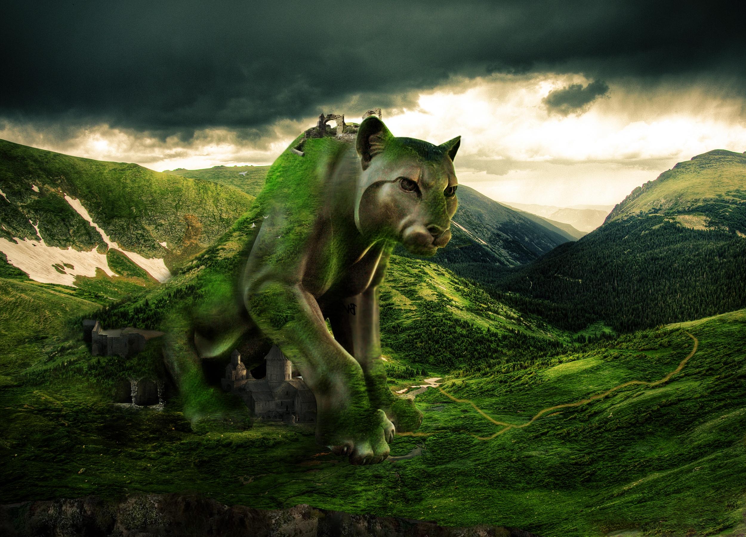 Puma seduto su roccia, 1024x768 HD, Desktop