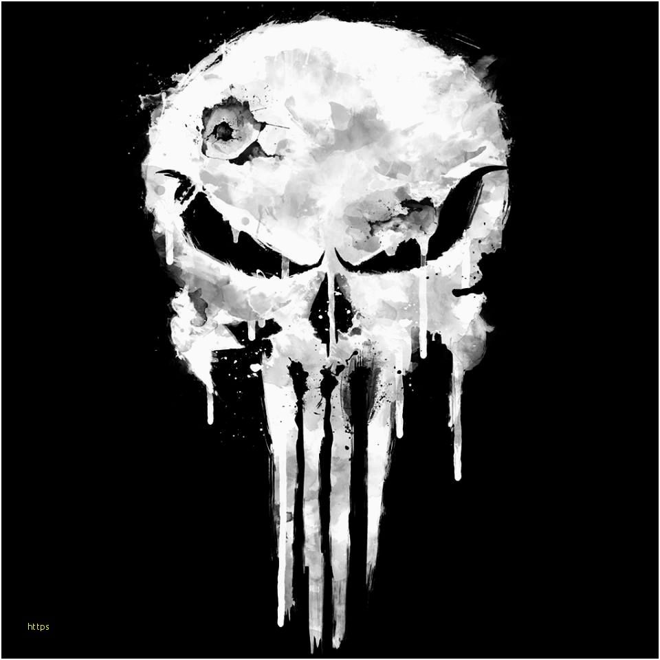 Teschio Punisher bianco nero, 960x960 HD, Laptop