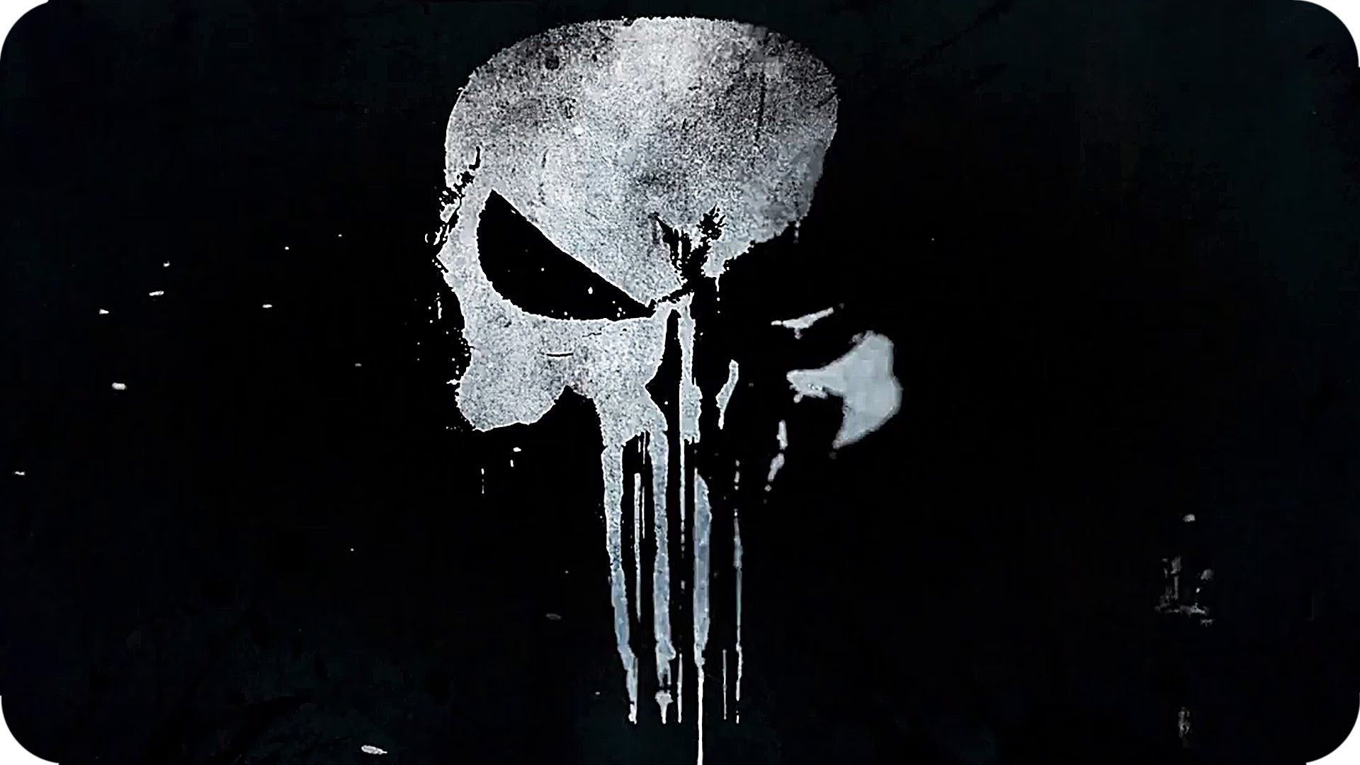 Teschio Punisher bianco nero, 1920x1080 Full HD, Laptop