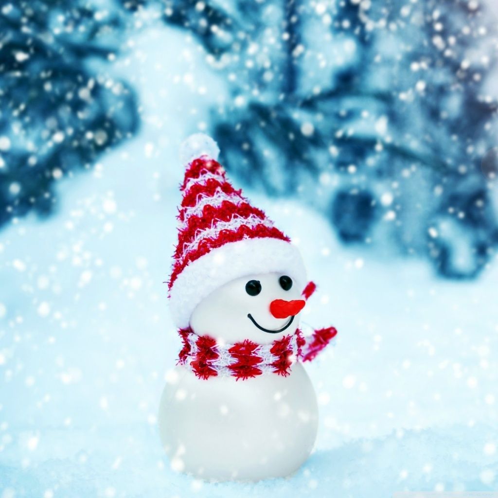Pupazzo di neve con cappello rosso, 1024x1024 HD, PC