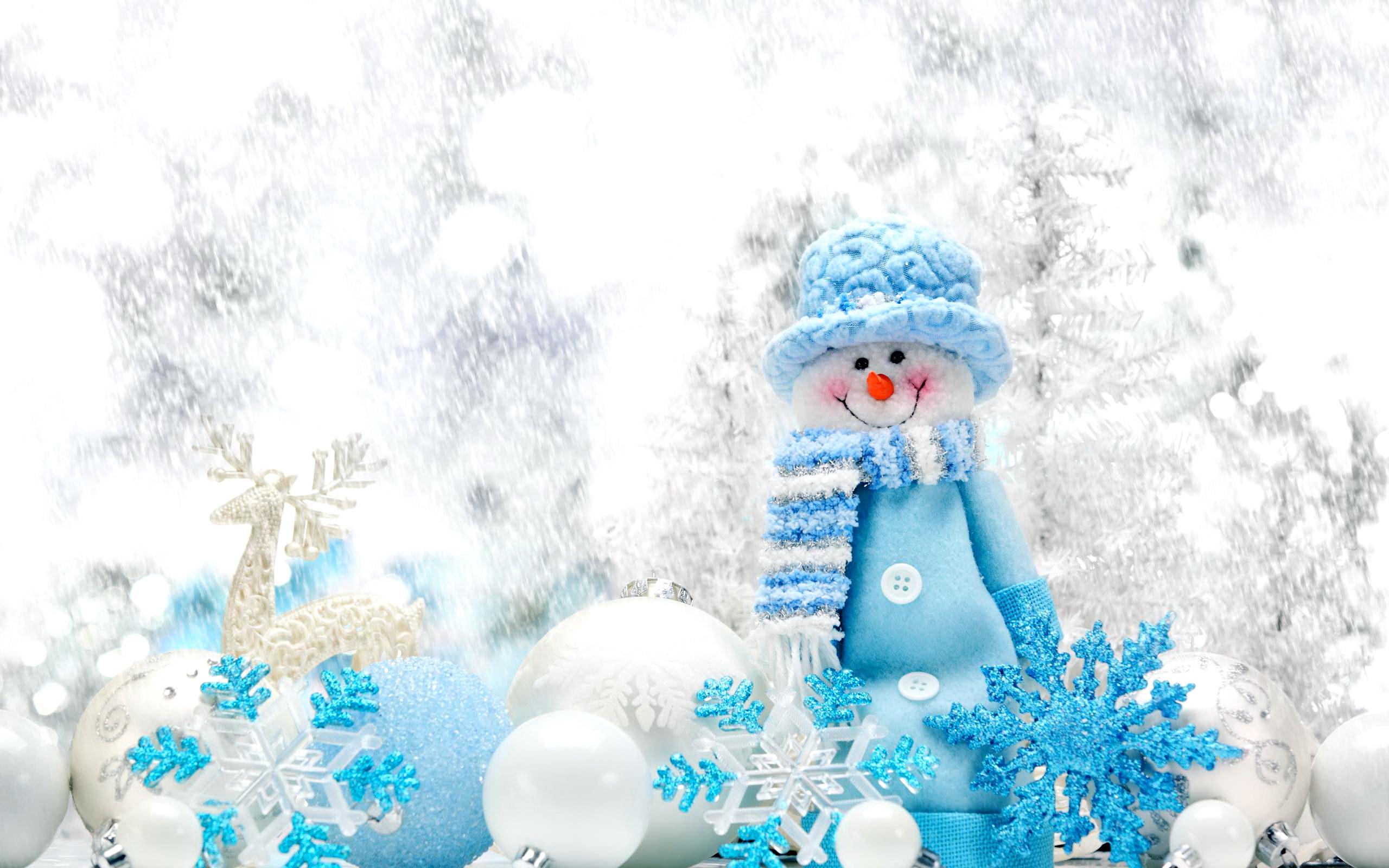 Pupazzo di neve blu decorativo, 2560x1600 2K, Desktop