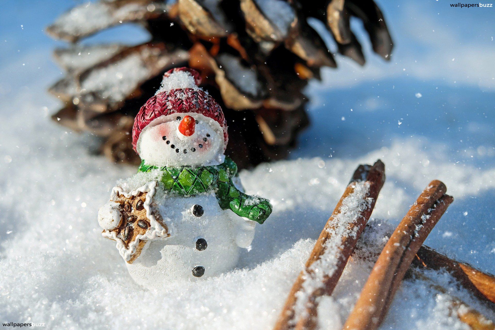 Pupazzo di neve con pigna, 1920x1280 Full HD+, PC
