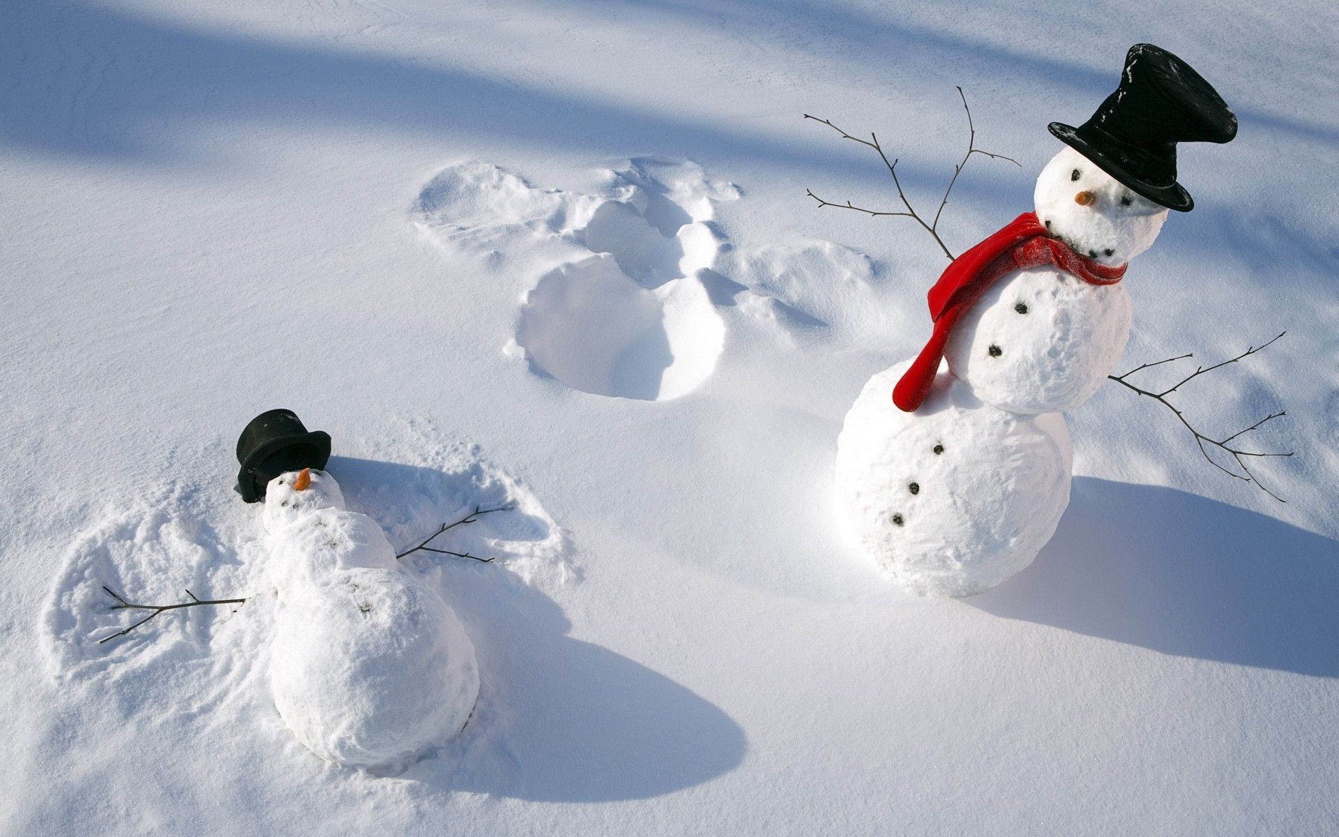 Due pupazzi di neve nella neve, 1920x1200 WUXGA, PC