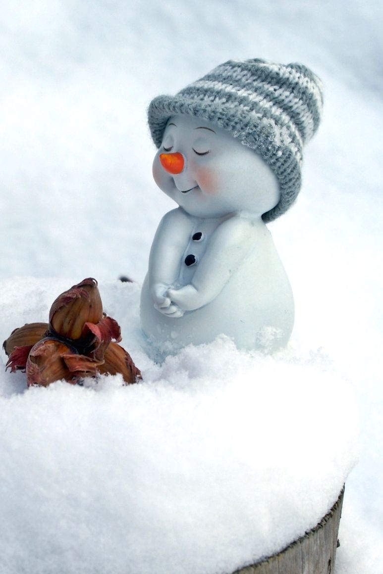 Pupazzo di neve con cappello, 773x1160 Verticale, Telefono