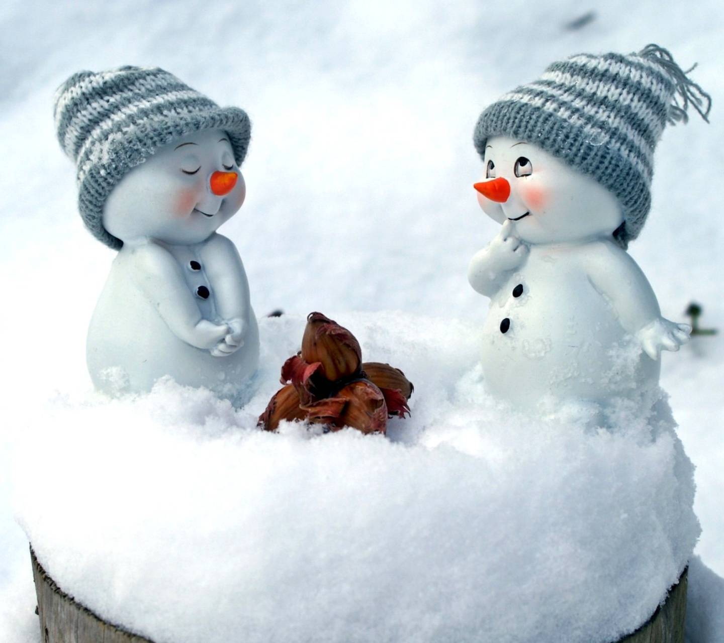 Due pupazzi di neve con cappelli, 1440x1280 HD, Desktop