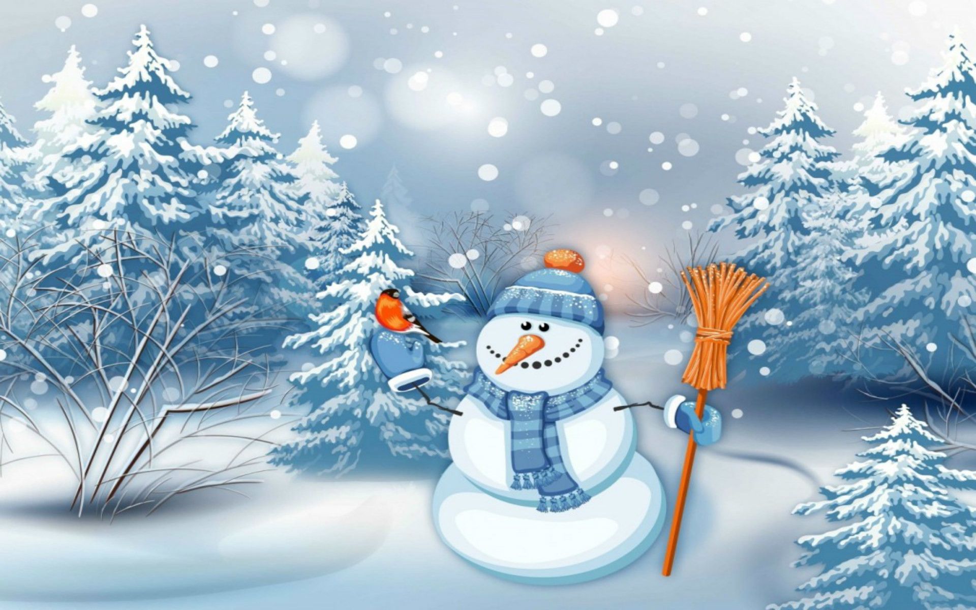 Pupazzo di neve con scopa, 1920x1200 WUXGA, Desktop