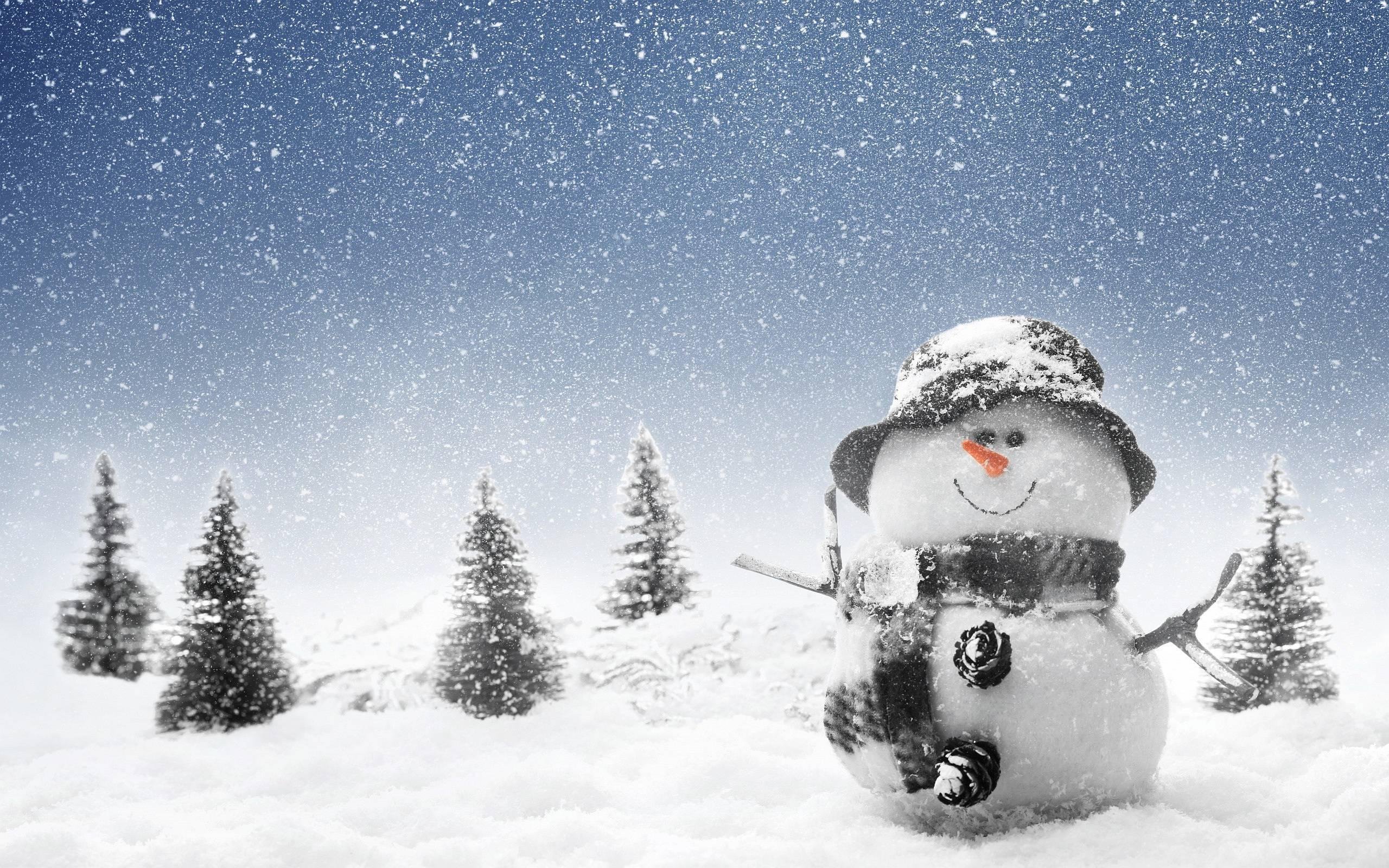 Pupazzo di neve con alberi innevati, 2560x1600 2K, MacBook Pro