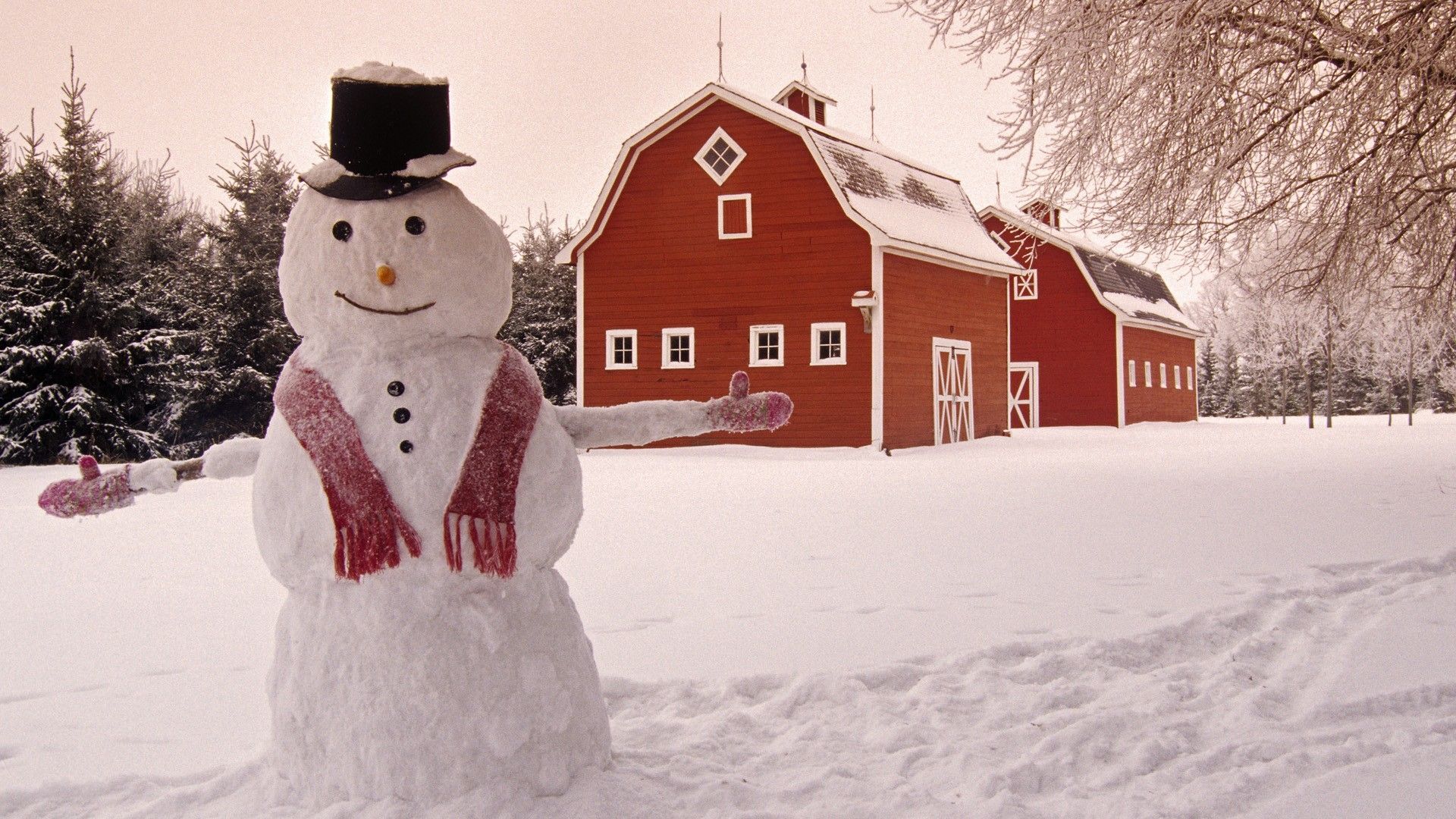 Pupazzi di neve country natalizi, 1024x768 HD, iMac