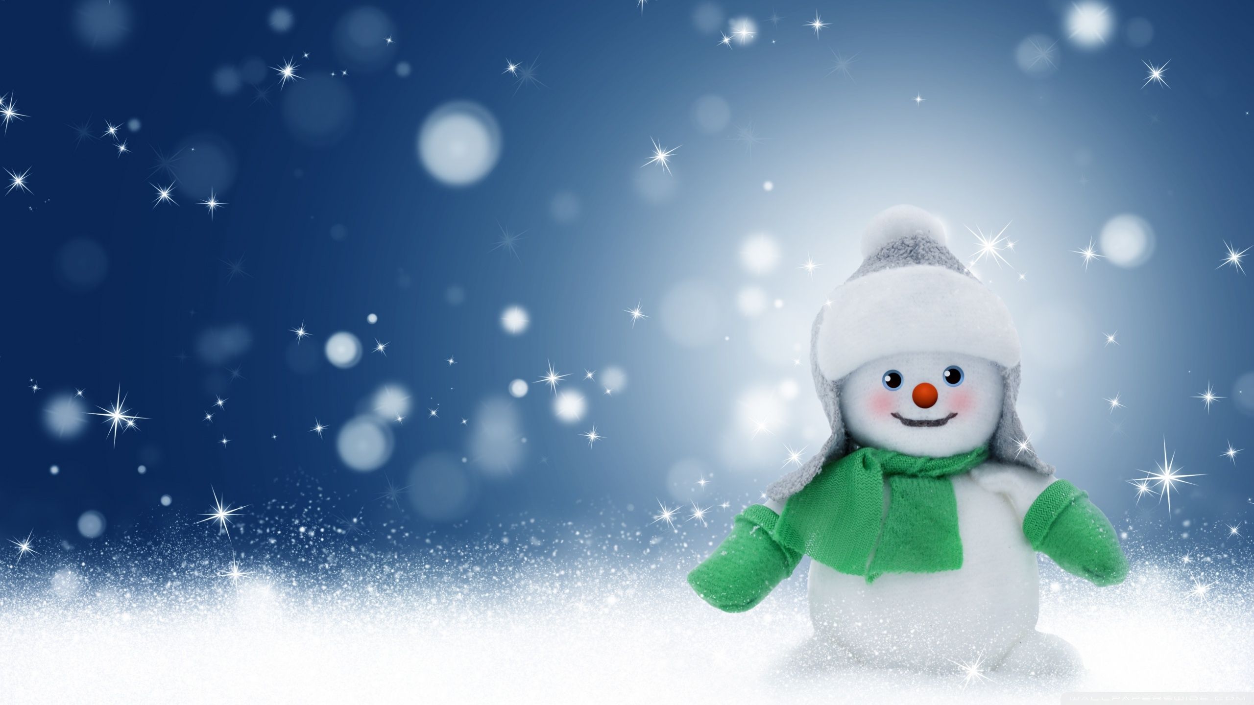Pupazzo di neve con sciarpa verde, 2560x1440 2K QHD, PC