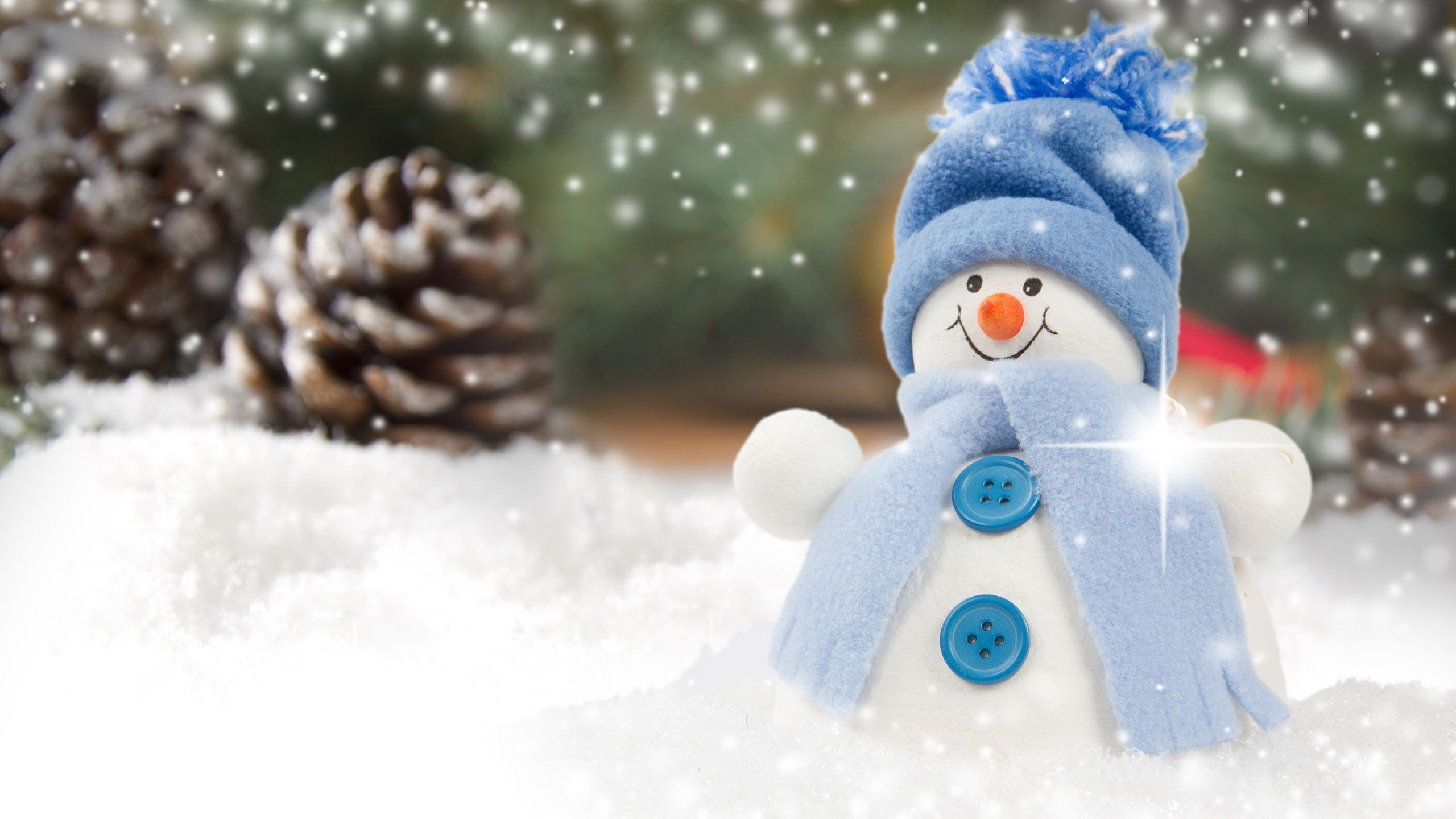 Pupazzo di neve con sciarpa blu, 2560x1440 1440p, Desktop