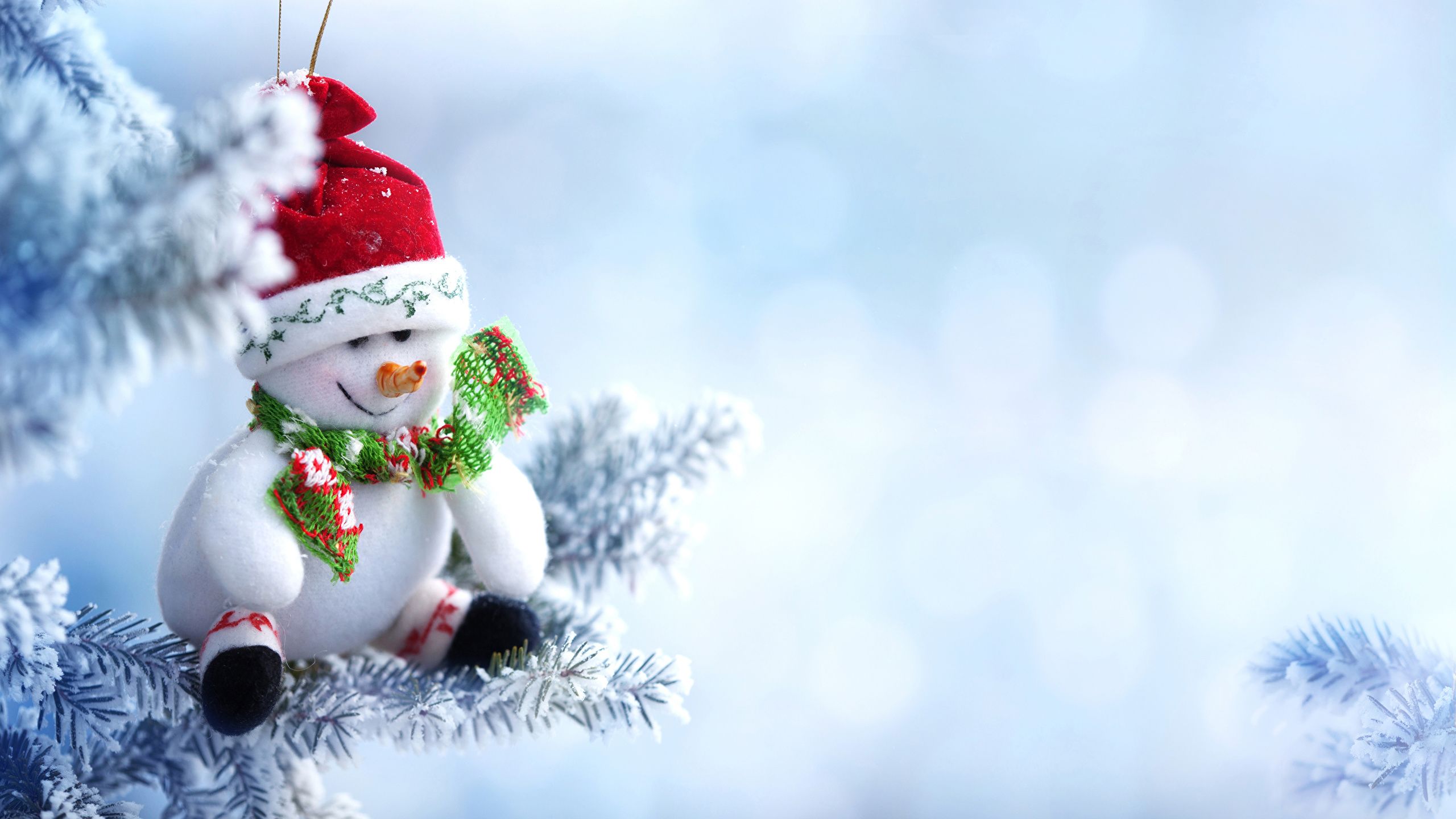 Pupazzo di neve decorazione natalizia, 2560x1440 2K QHD, PC