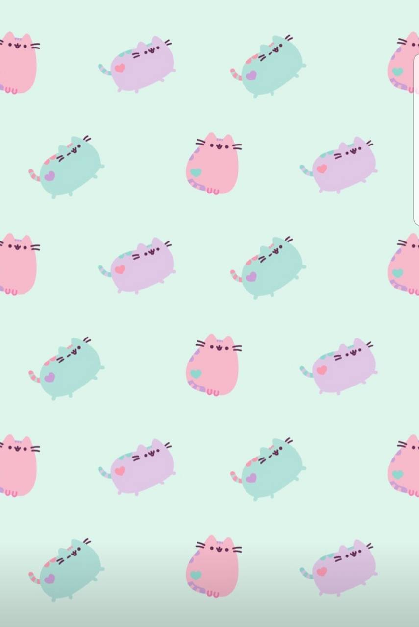 Pusheen gatto pattern pastello, 855x1280 Full HD Verticale, Smartphone