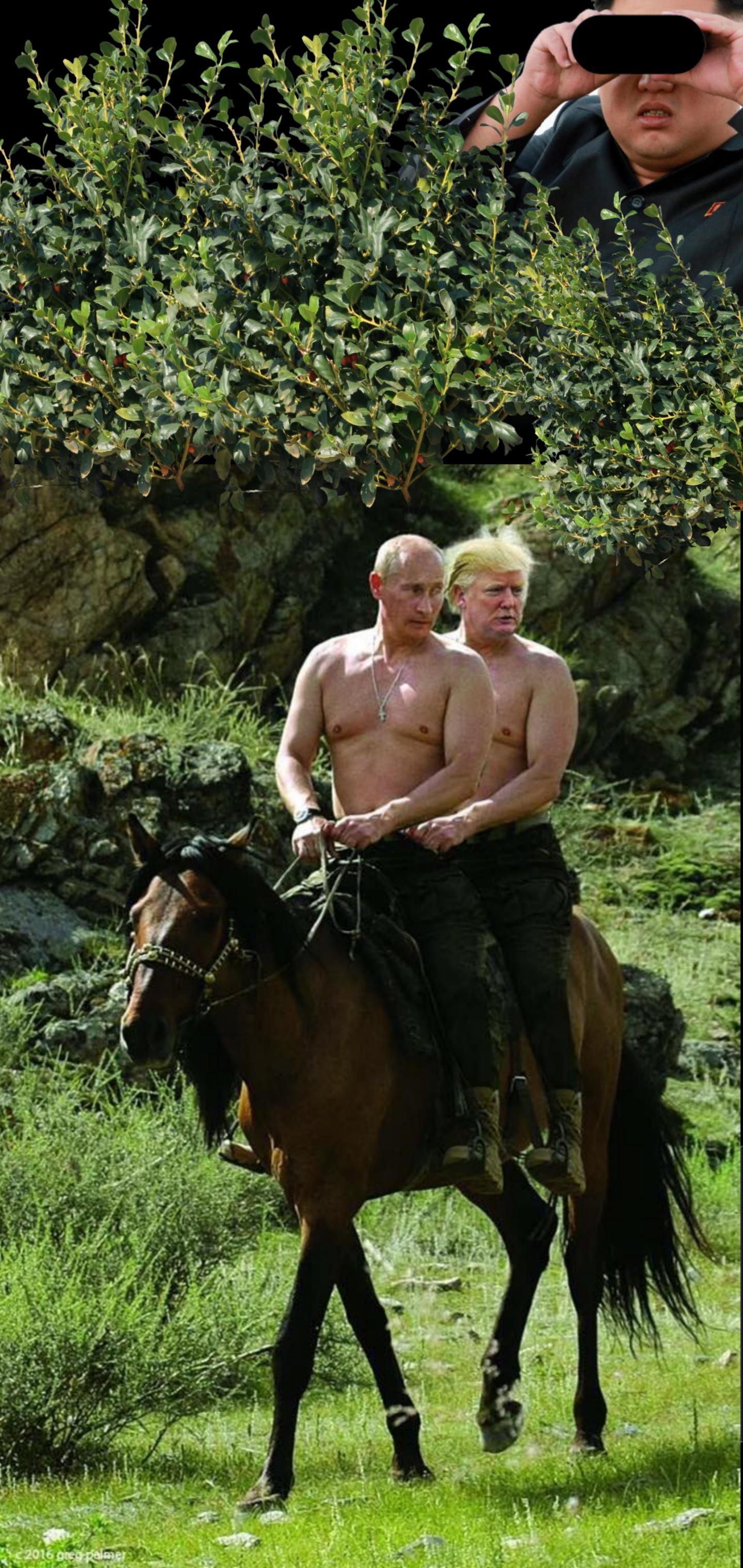 Vladimir Putin al tavolo, 2400x1619 Hi-Res, Desktop
