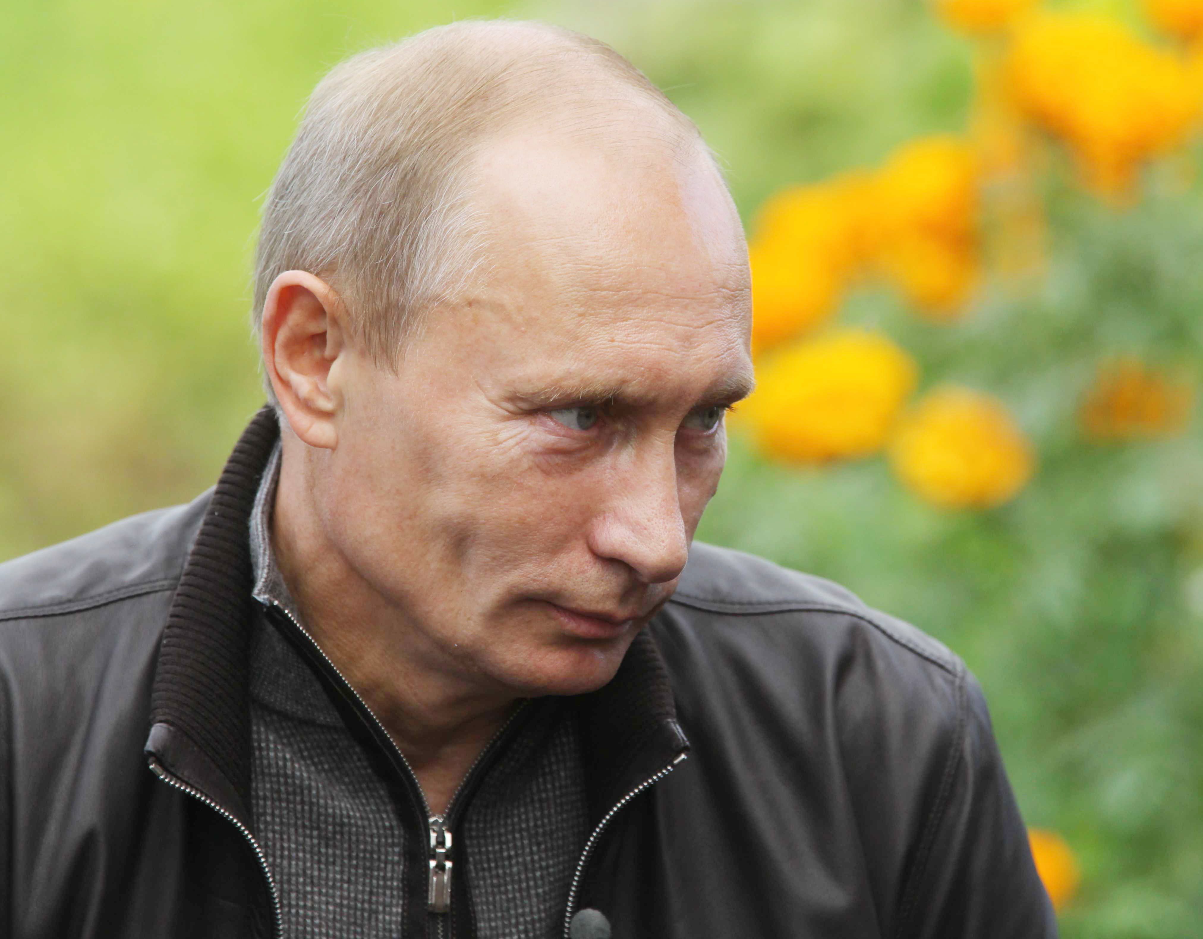 Putin a torso nudo su cavallo, 1440x3040 Full HD Verticale, Smartphone