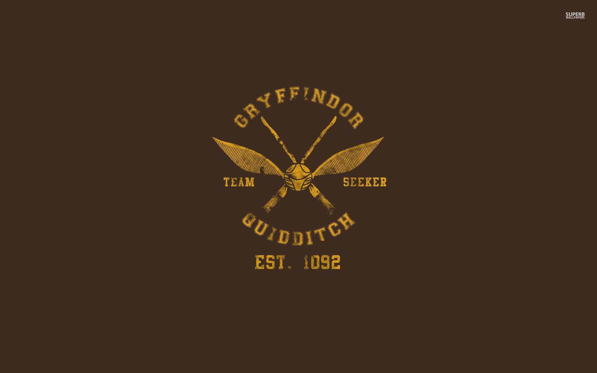Logo Grifondoro Quidditch marrone, Hogwarts, 1920x1200 WUXGA, Laptop