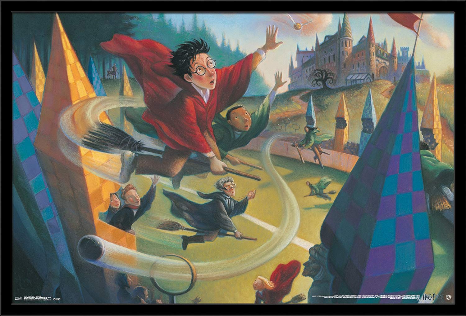 Harry Potter Quidditch poster incorniciato, 1500x1020 HD, Desktop