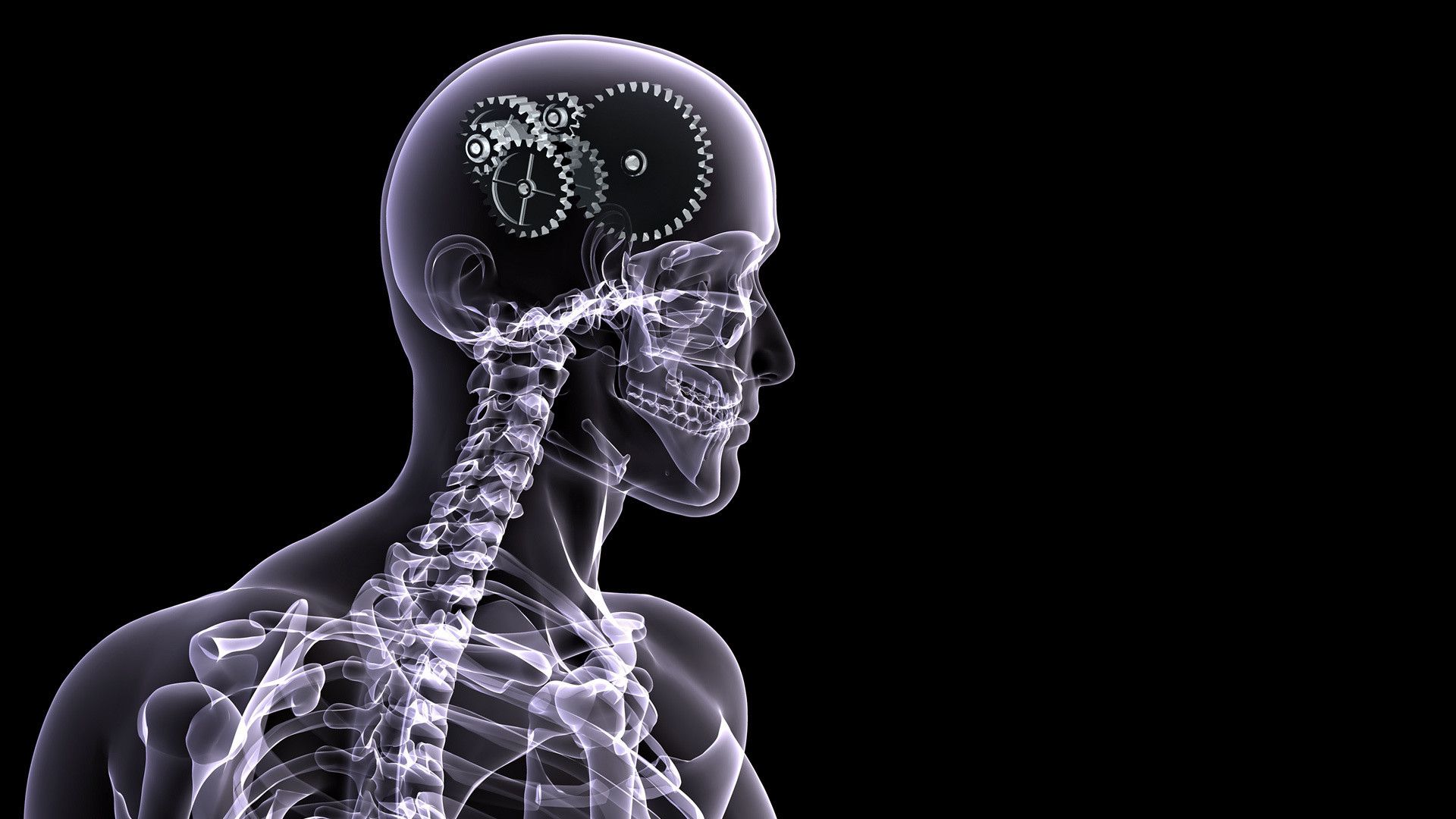 Radiografia testa con ingranaggi, 1920x1080 1080p, Desktop